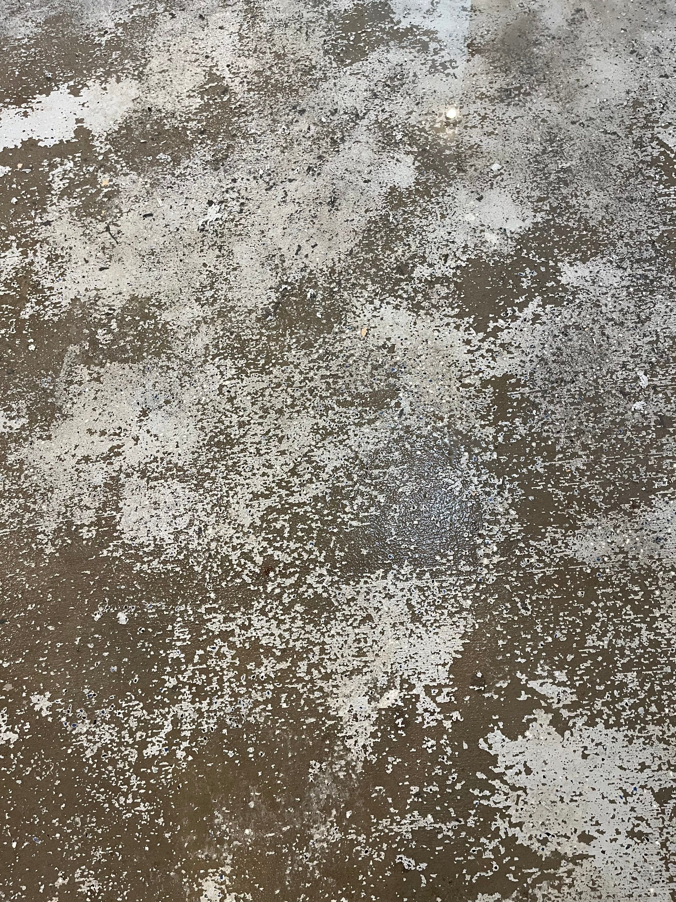 Durable Commercial Concrete Coatings for Brandon Valley Veterinary Clinic by Select Painting, Coatings & Garage Cabinets