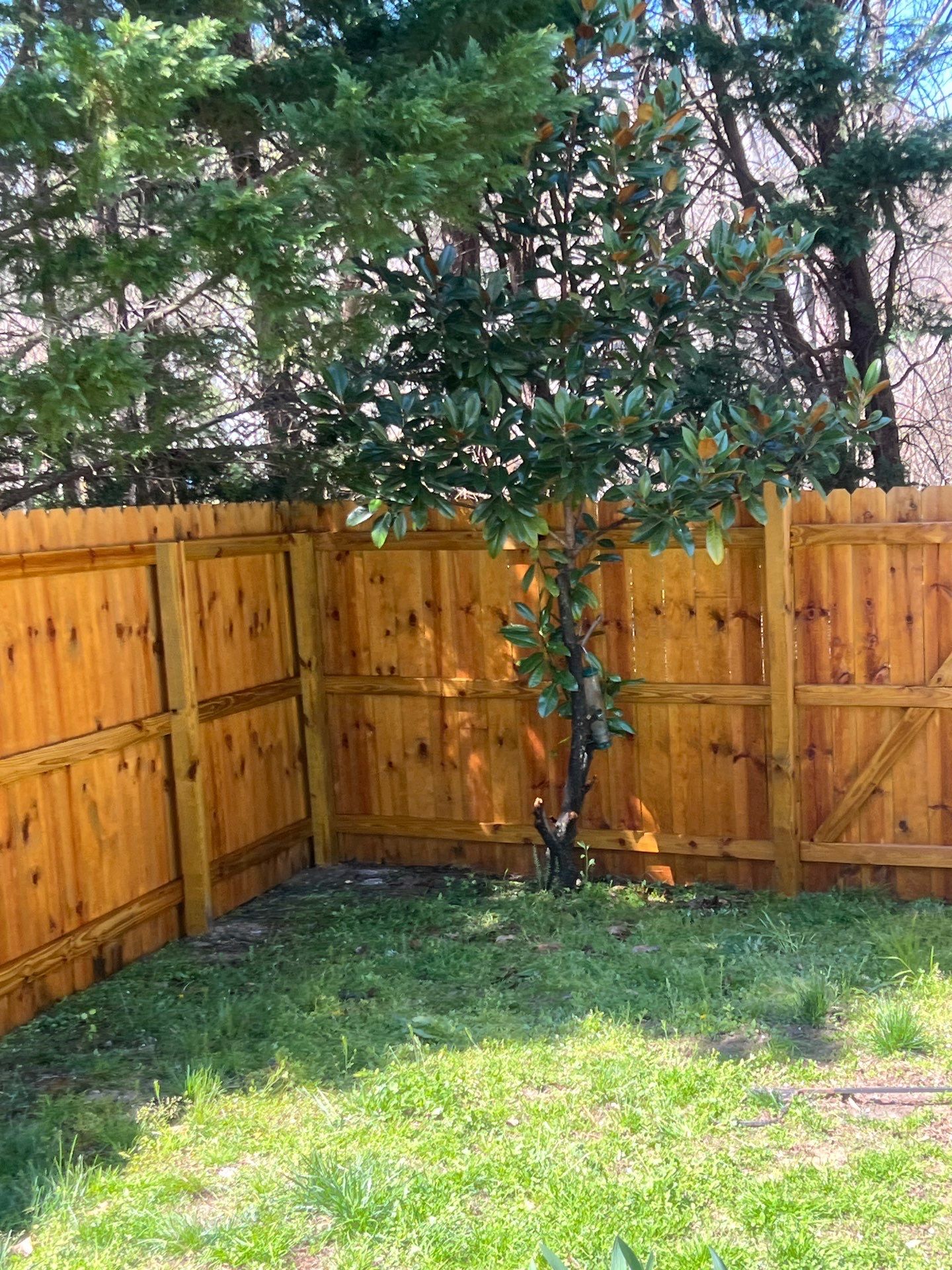 Fence using Wood Sealant by DuraSeal