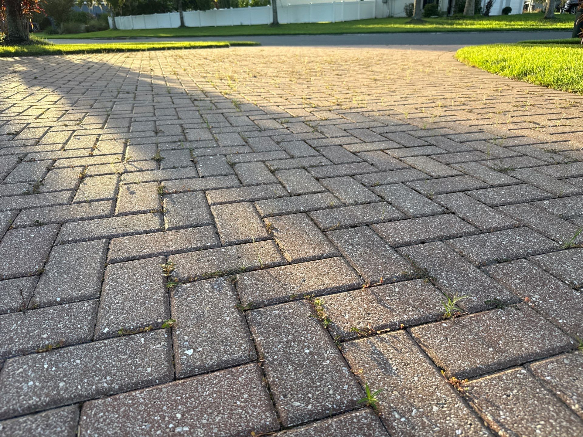 Paver Driveway & Sidewalk Cleaning – Oakleaf Hammock, Ellenton, FL by Sunshine AquaWash