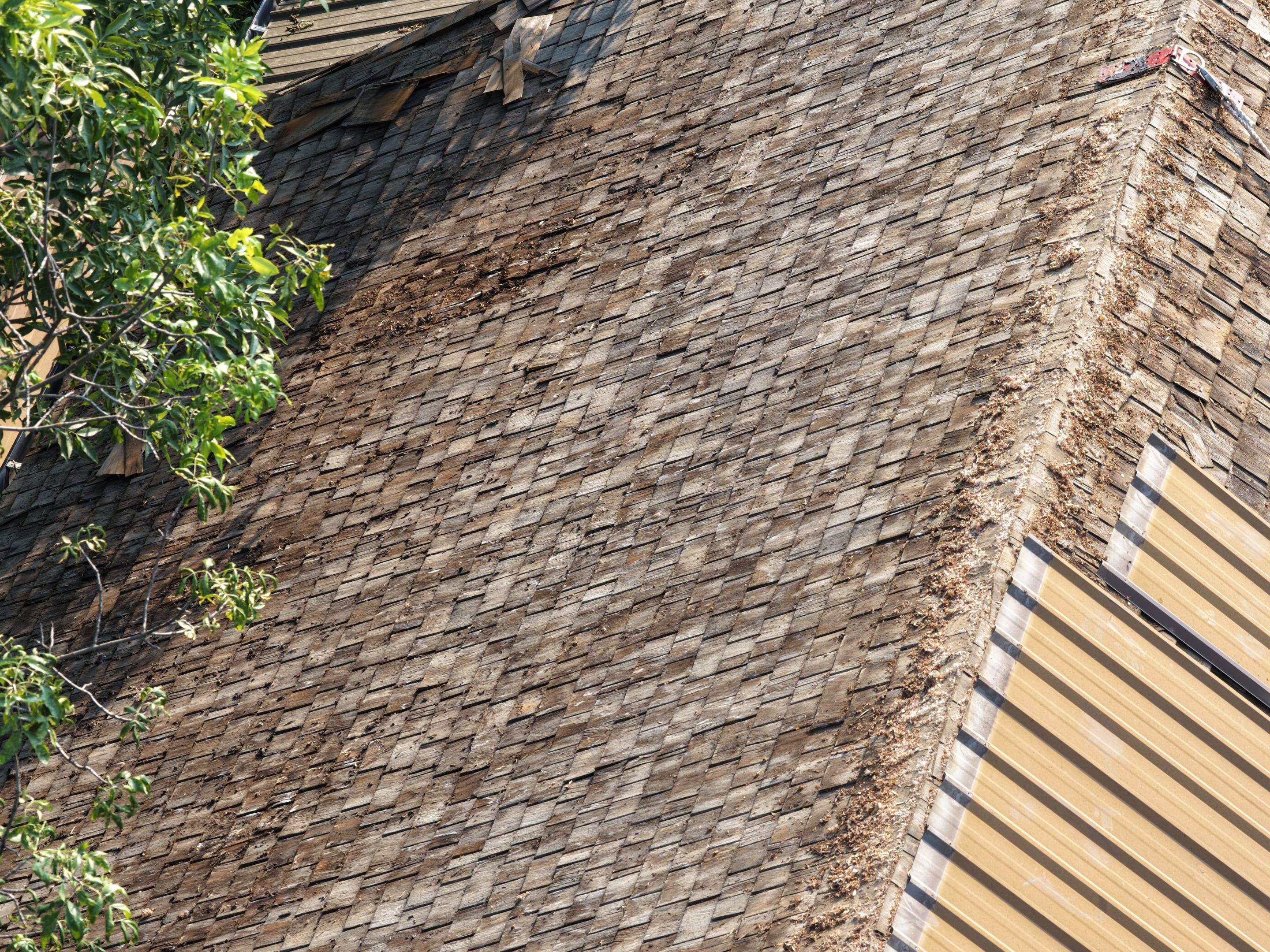 Roof Replacement - GAF Timberline HDZ - Chestnut Valley  by Montana Roofing Solutions