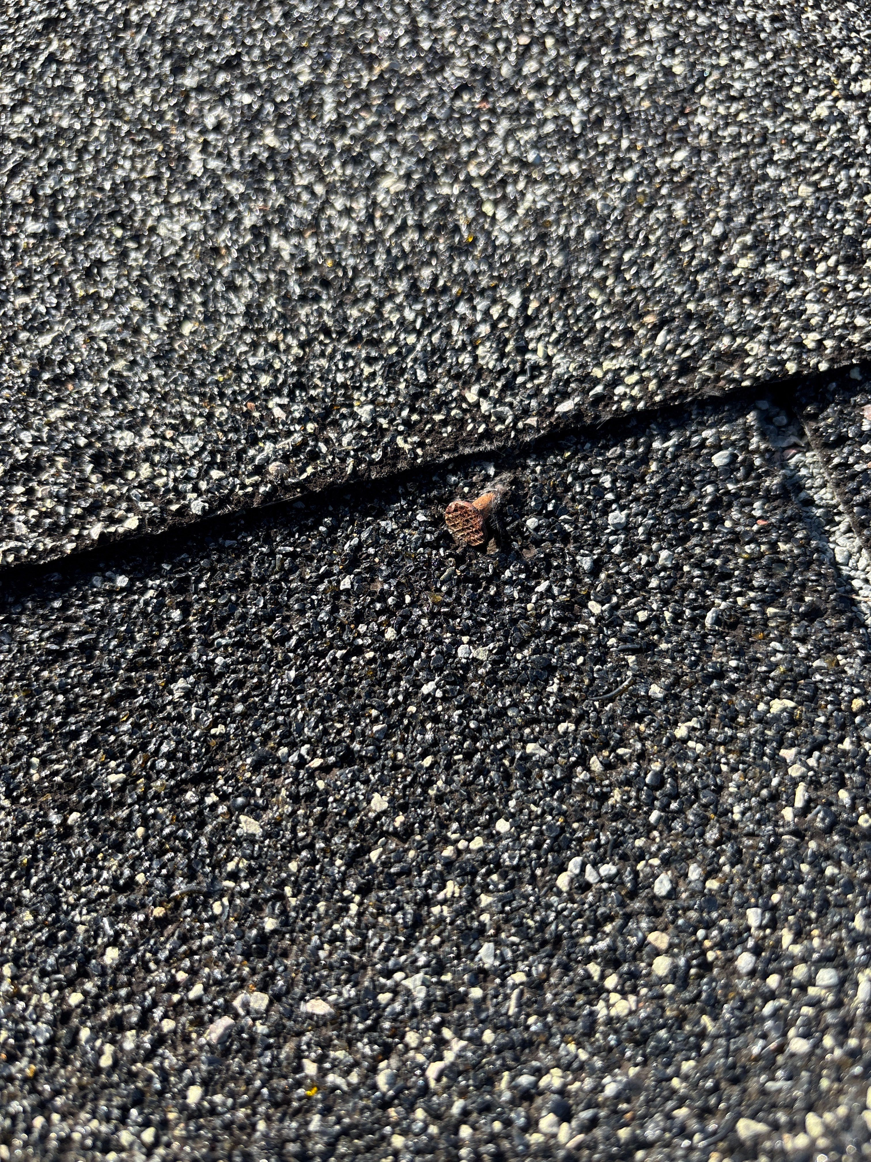 Nail pop by Deerfield Roofing LLC