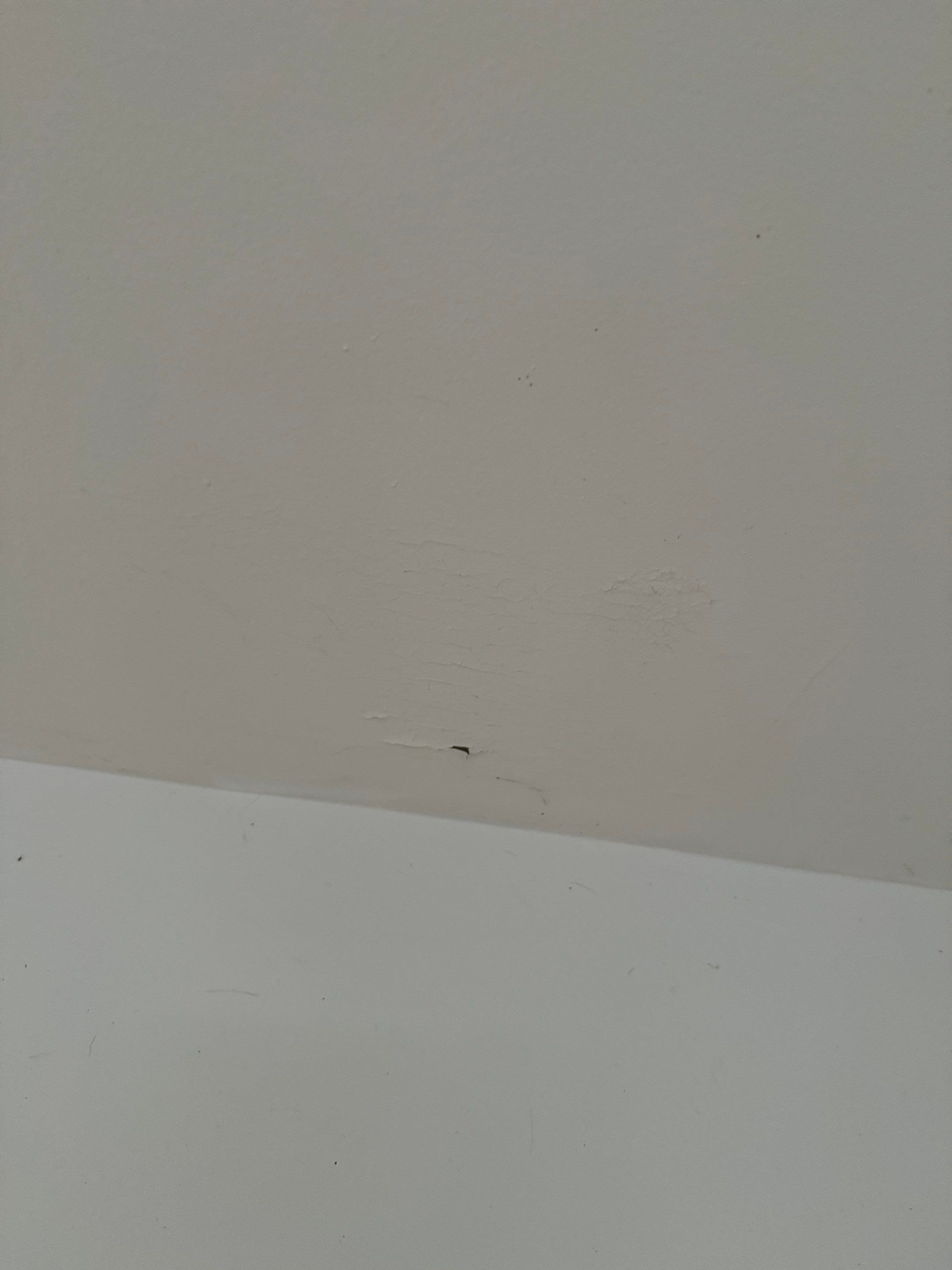 House Renovation - 25th st- West Vancouver by YVR Construction Group