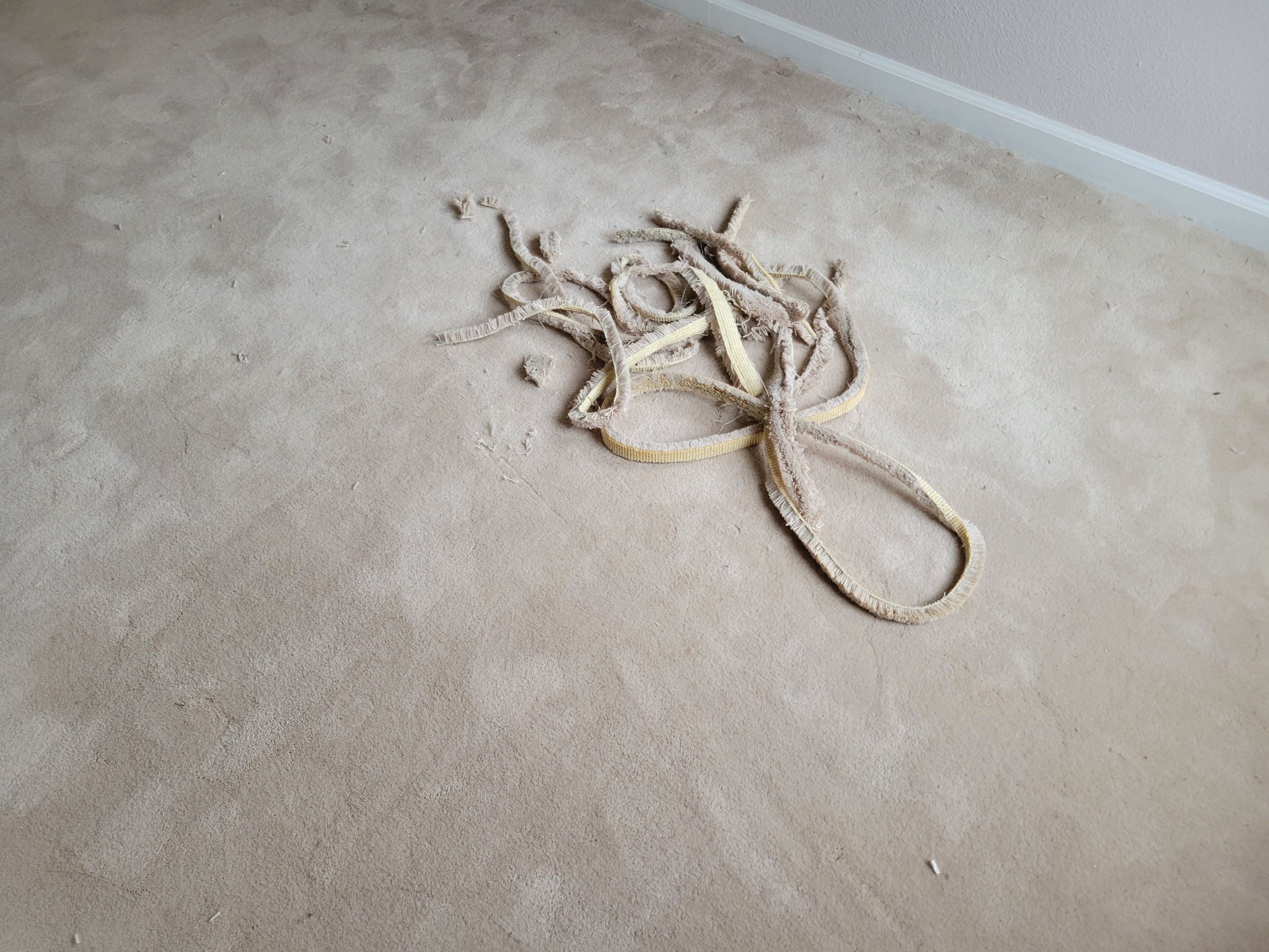 Carpet Re-stretch & Cleaning in Davis by Ardent Carpet Restore LLC