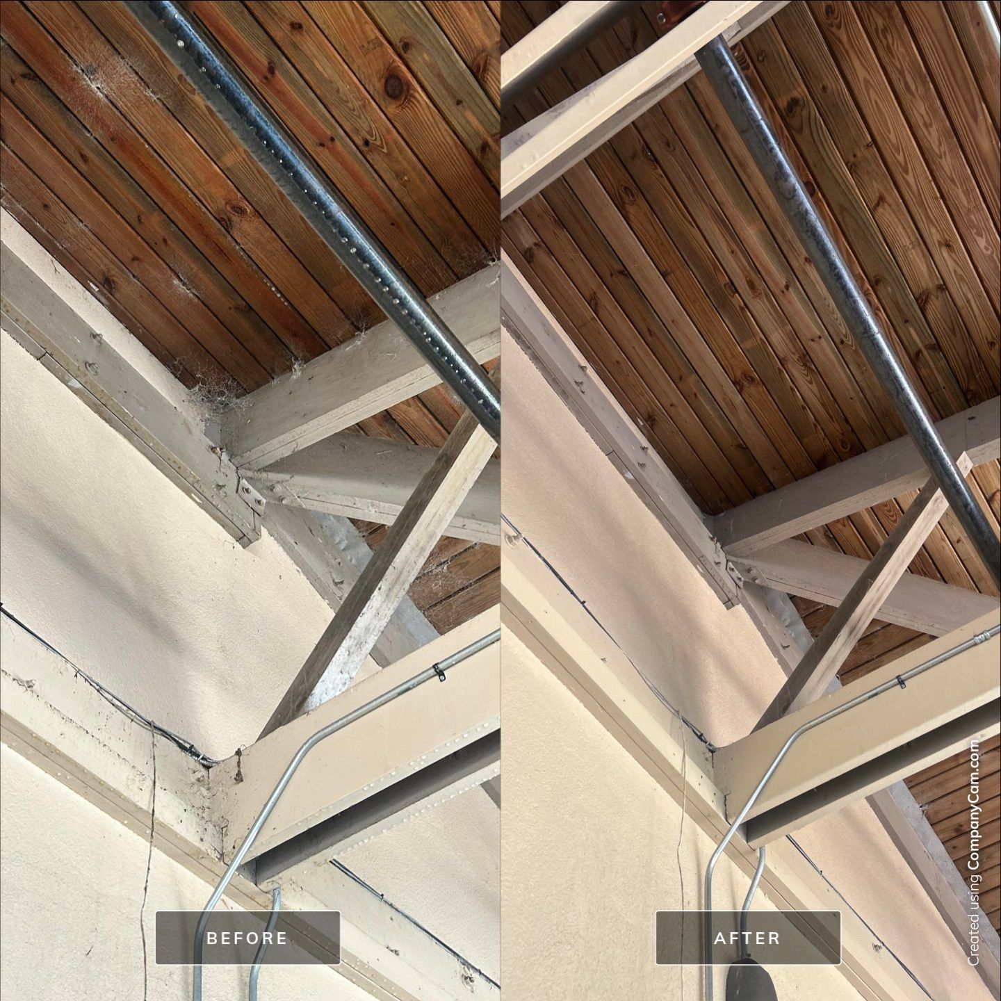 House Washing in Wilmington by Shark Power Washing