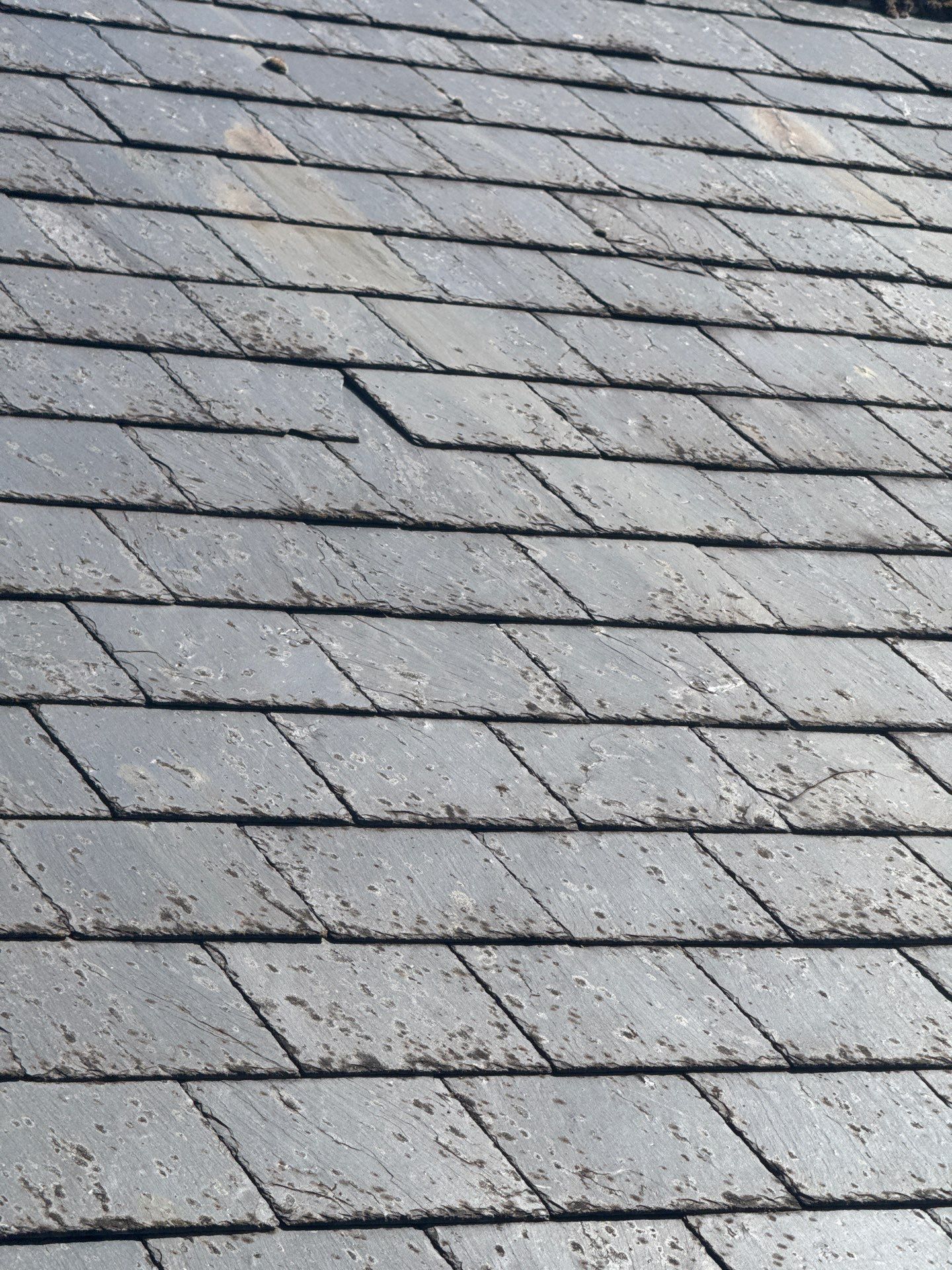 Render and Roof clean using Softwash Equipment by Ges Exterior Cleaning ltd