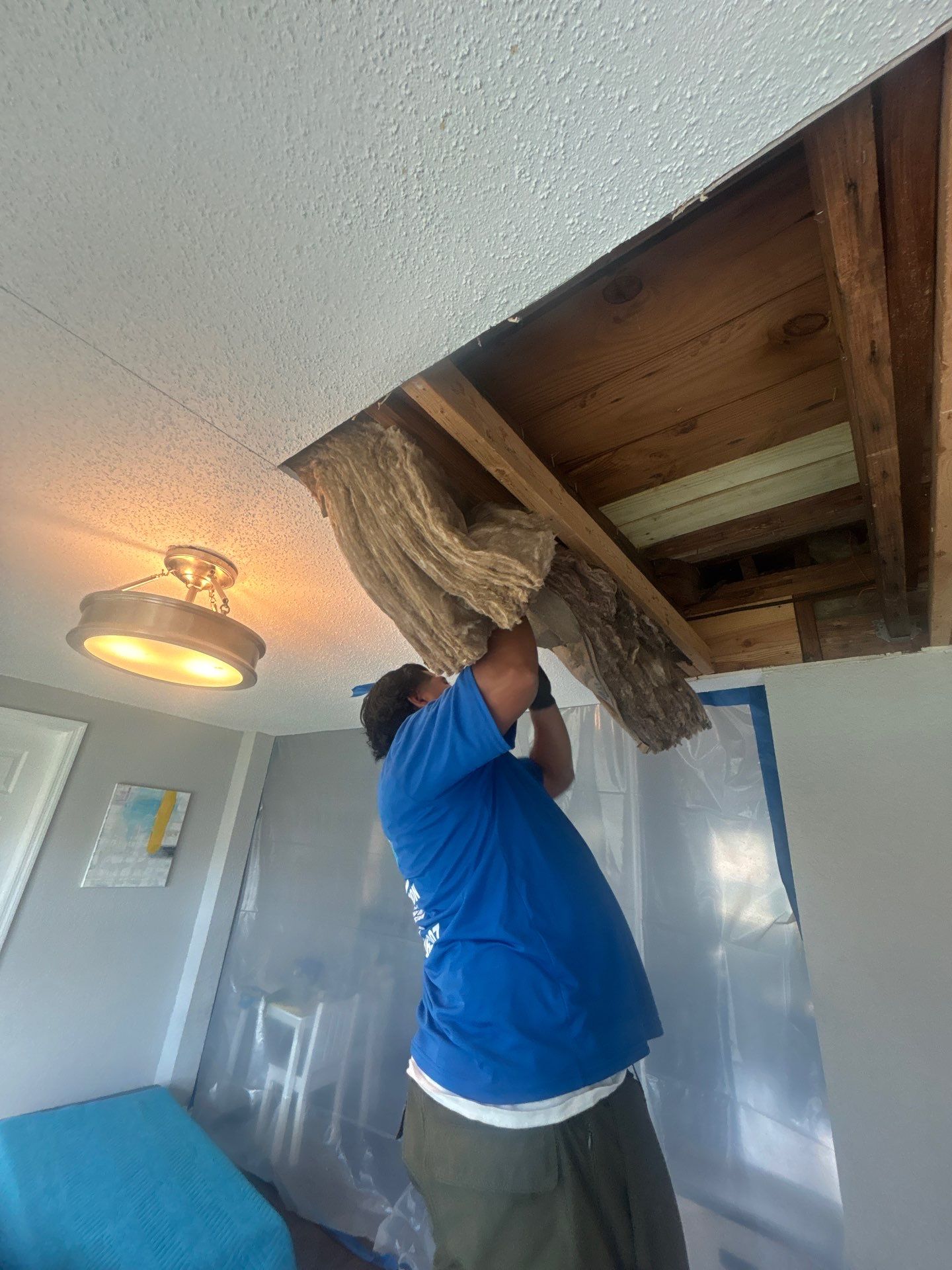 Mold Inspection & Mold Removal In St. Petersburg, FL by Ampm Restoration Services