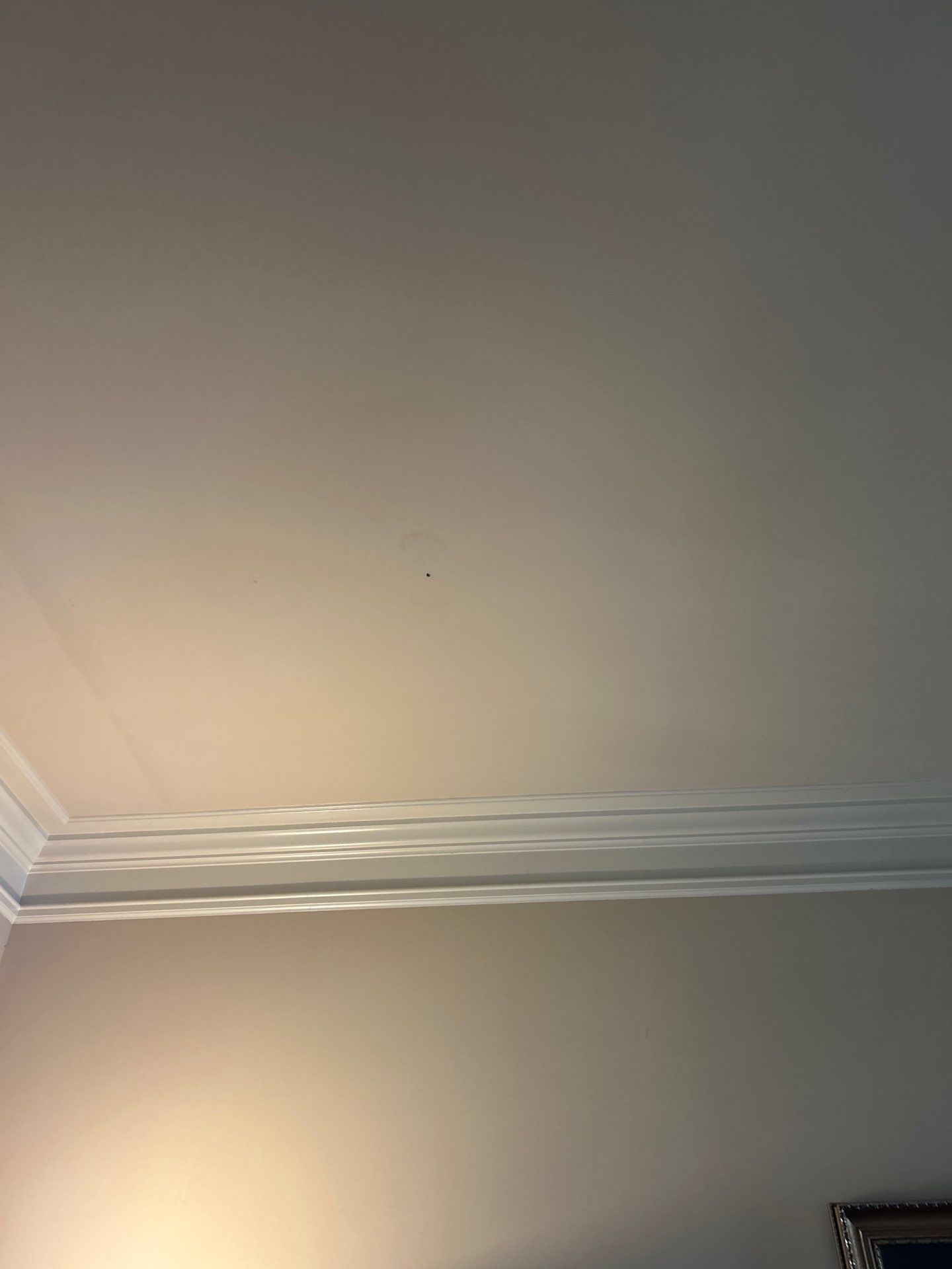 Don’t Wait to Fix a Leak! 🛠️ by Georgia Roof Advisors