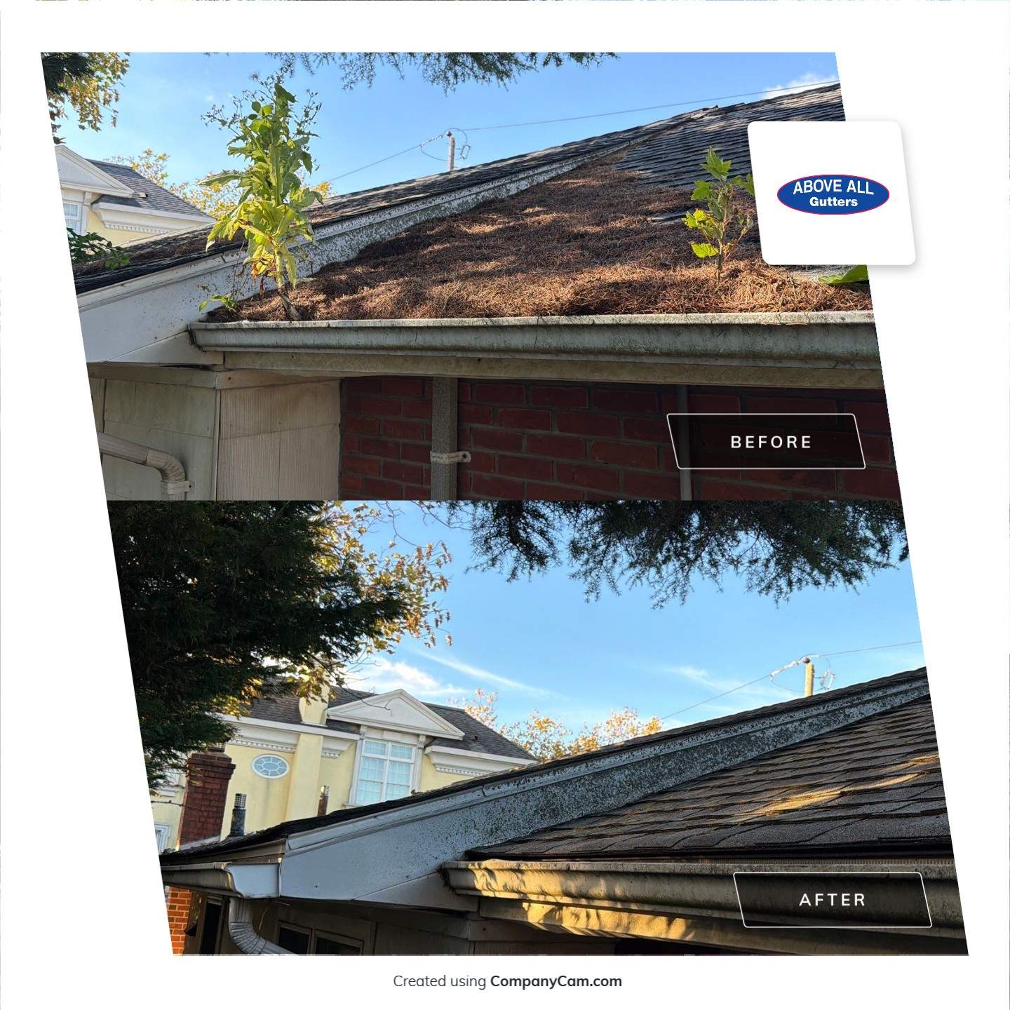 Comprehensive Gutter and Roof Debris Removal in Point Lookout by Above All Gutters