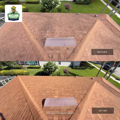 Shingle Roof Cleaning Service in Lake Mary