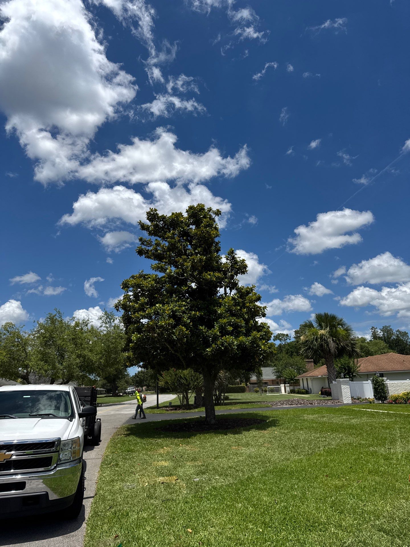 Deerwood Resident | Sod Install by ProGreen Services