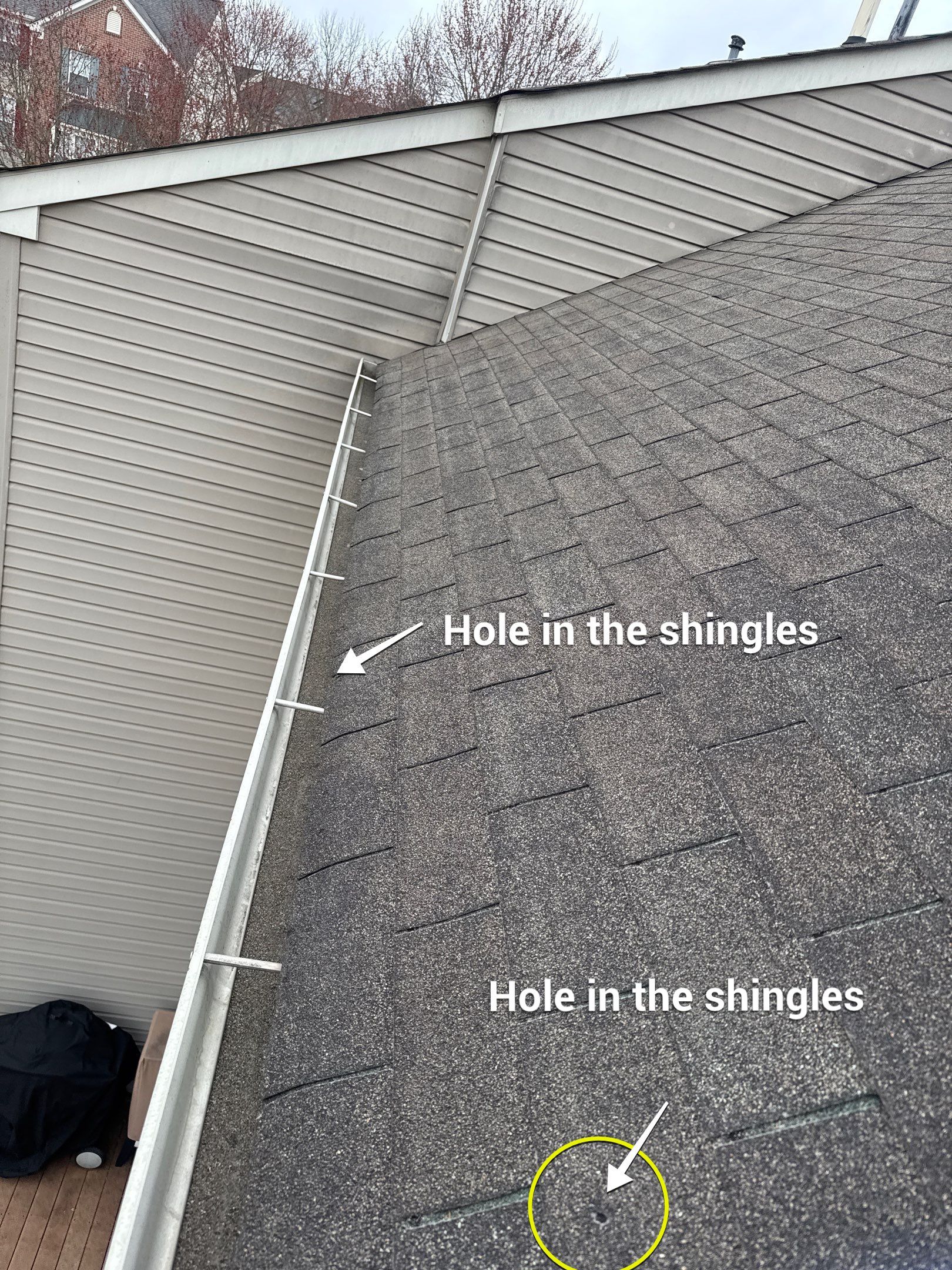 New shingle Roof an New gutters & Downspouts by Alpha Design Services