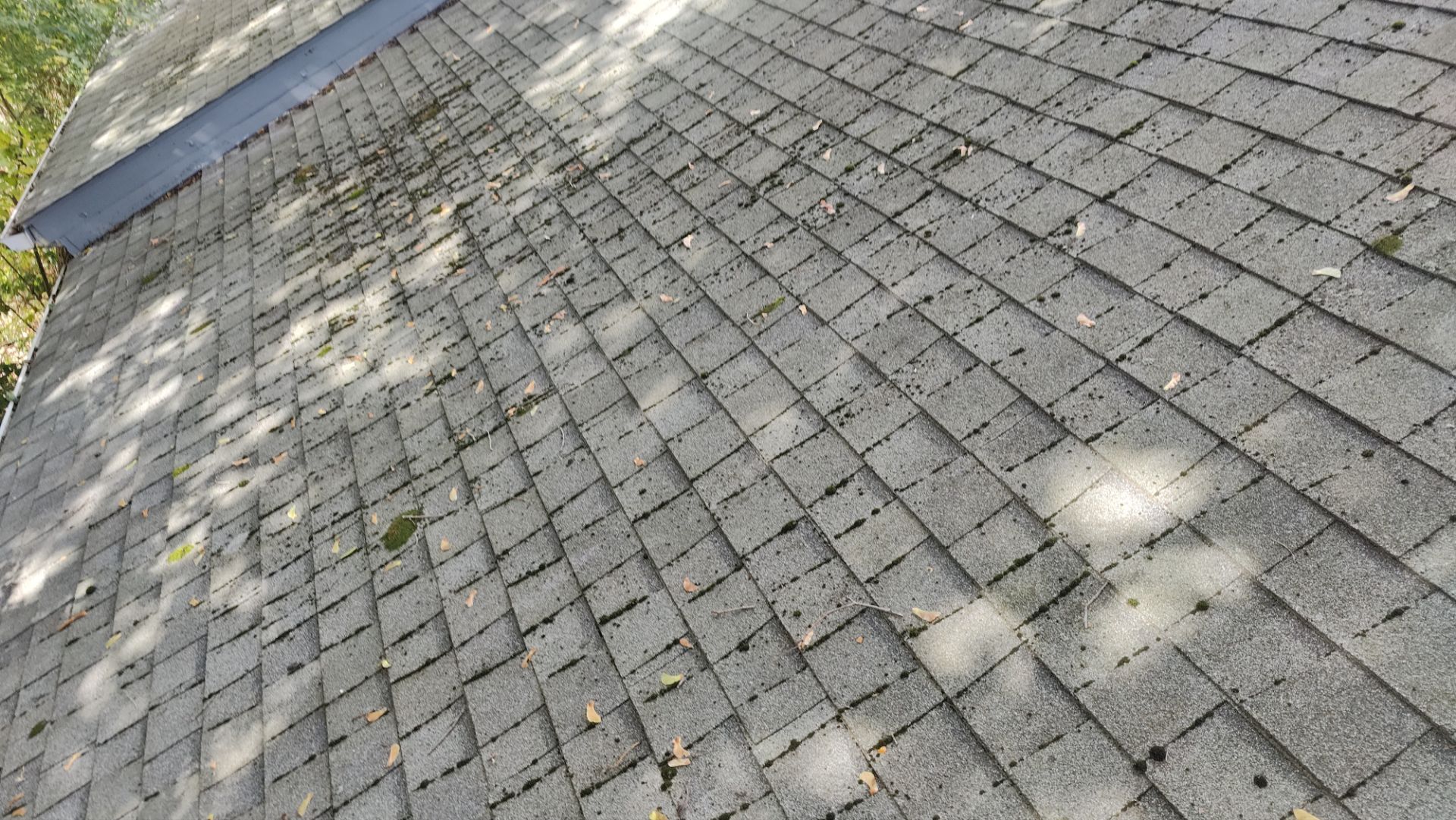 Roof Replacement using Owens Corning Midnight Plum by 180 Contractors