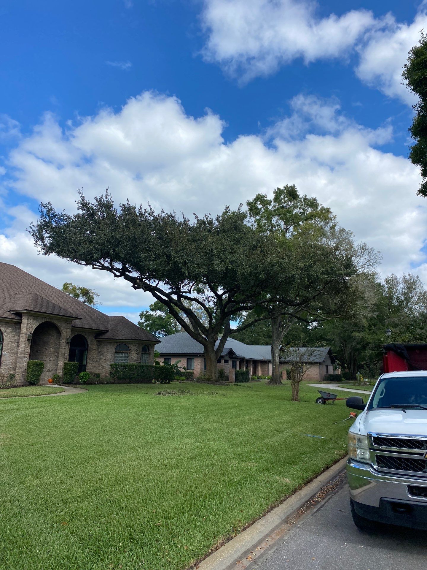 Deerwood | Tree Trimming & Sod Install | Residential by ProGreen Services