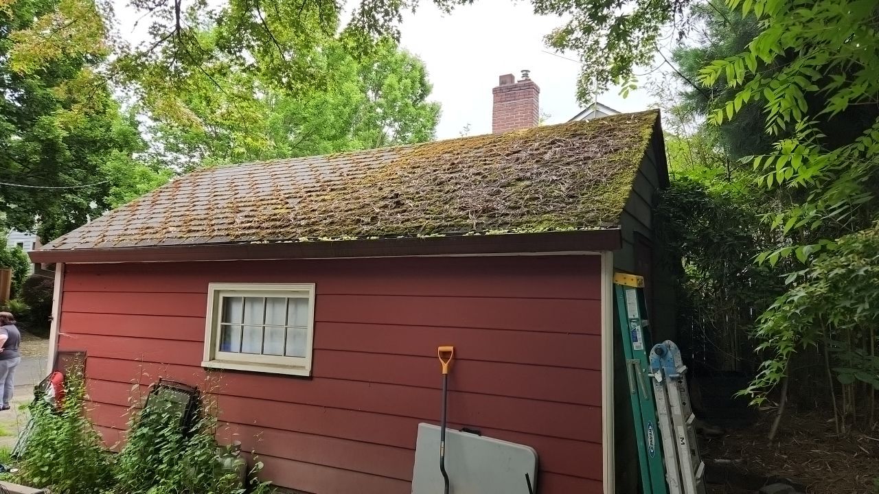 Moss Treatment using Biocide by Willamette Outdoor Wash LLC