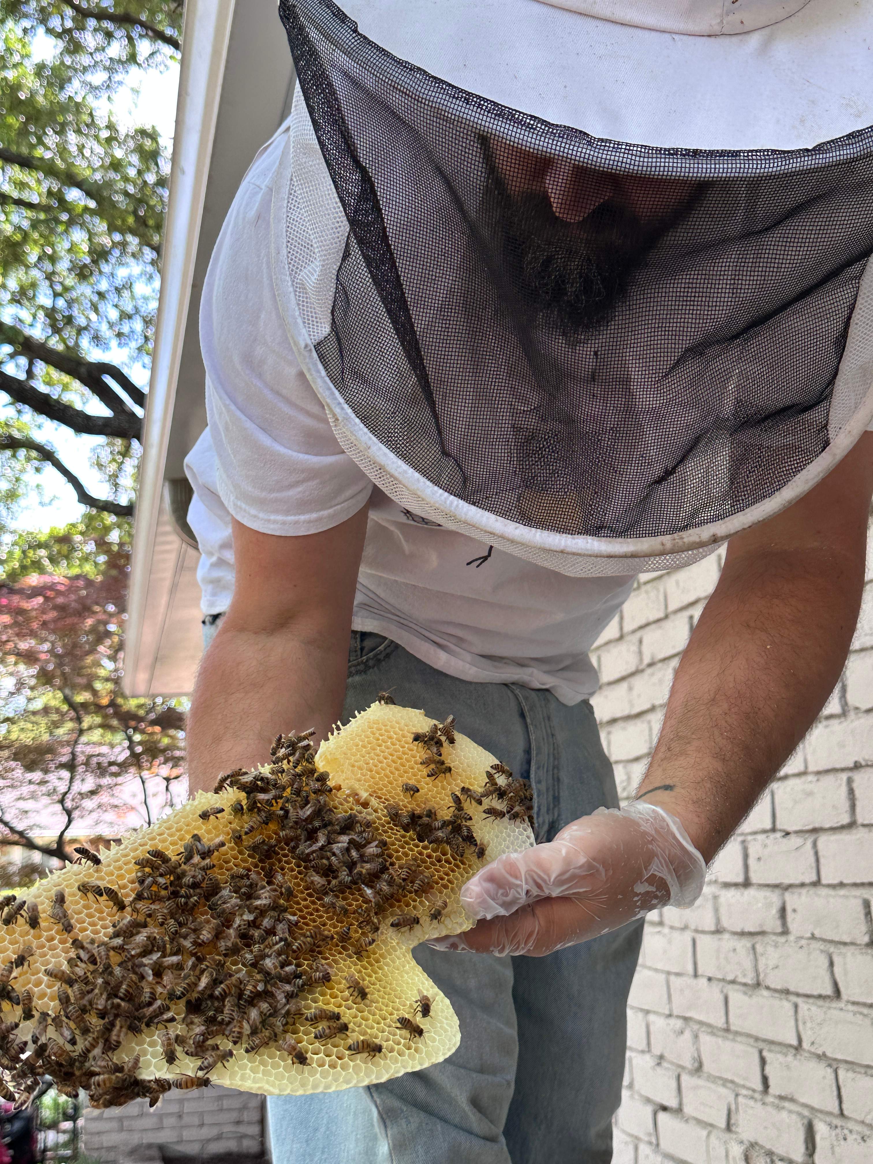 Show-and-Tell by Rockwall Honey Bee Company