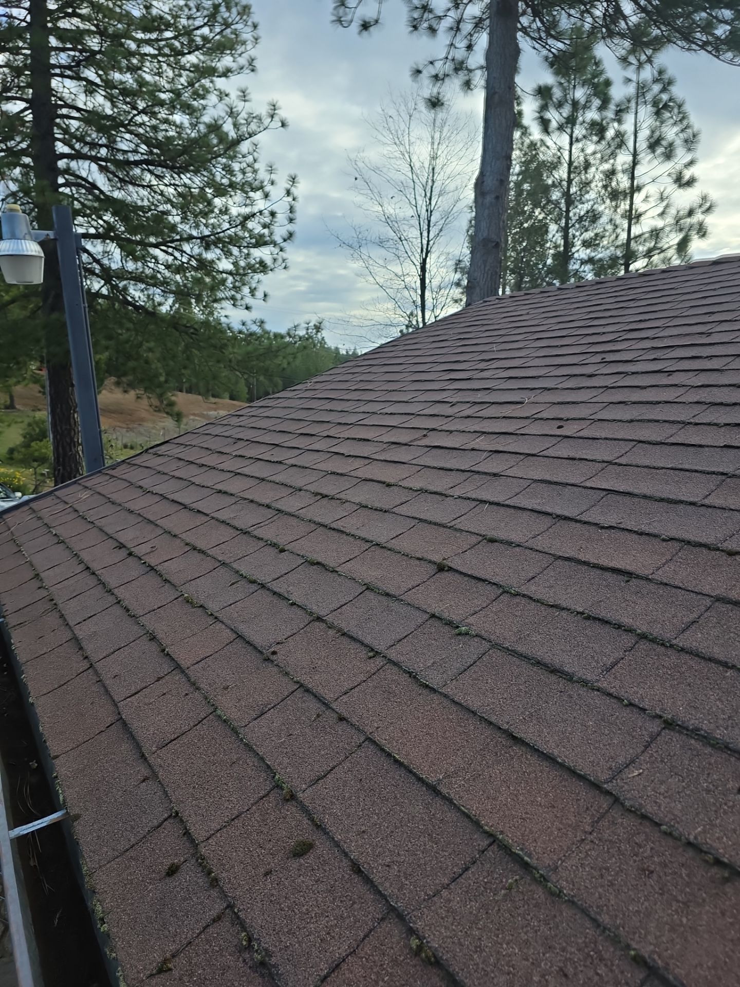 Before and After Photos using Roof Maxx Treatment by Roof Maxx of Folsom