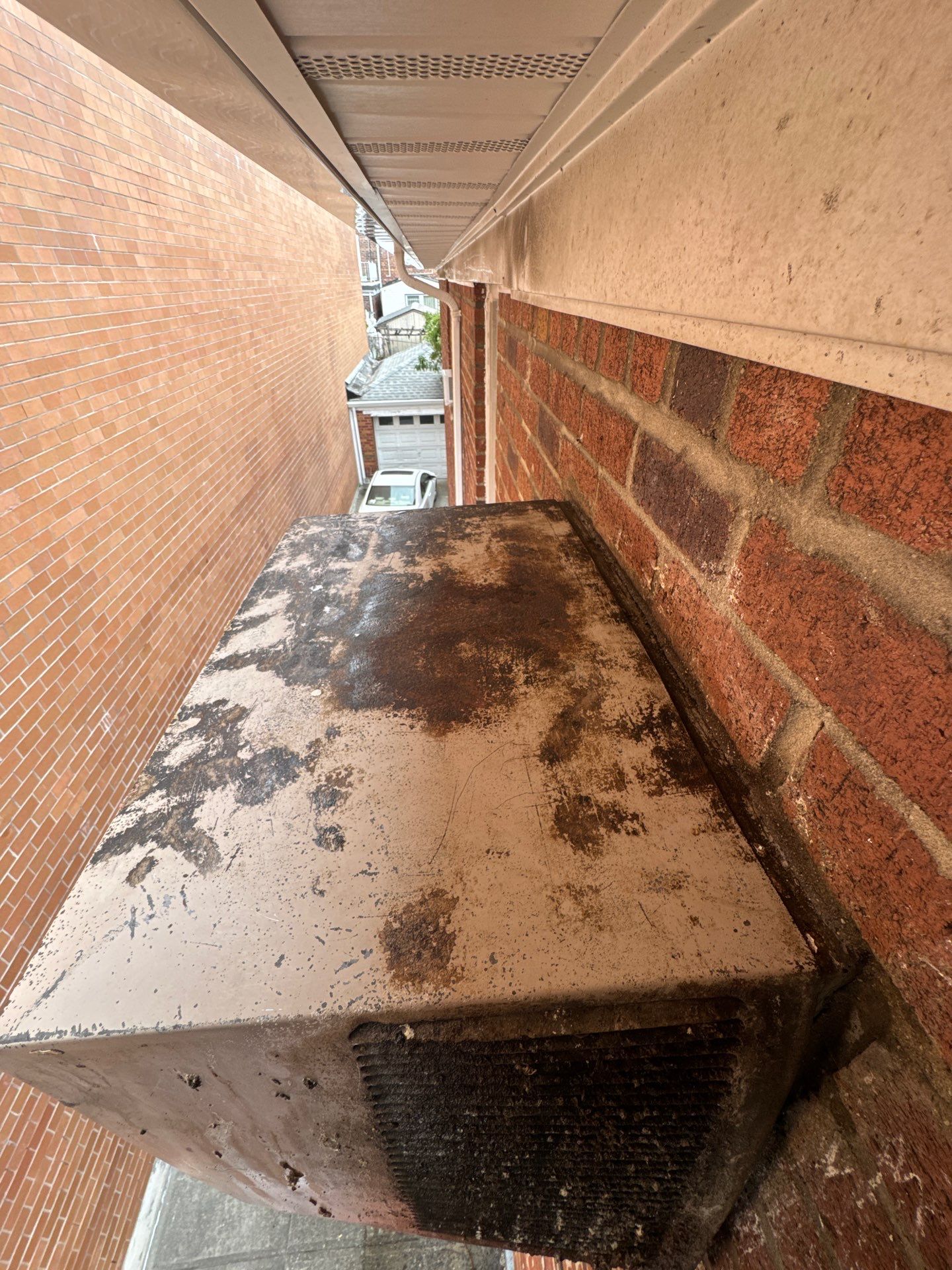Bird removal, sanitization and prevention by NYC Extermination LLC