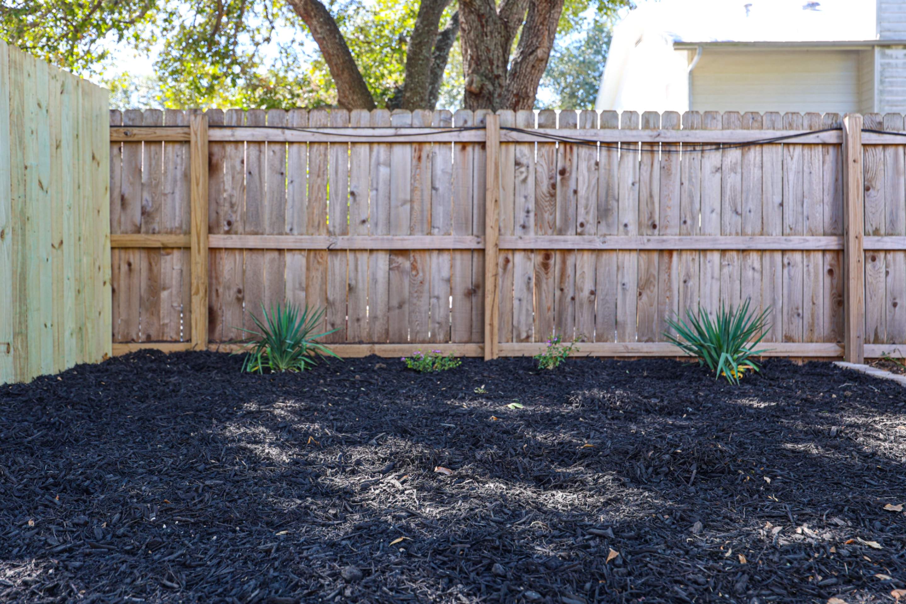 Eden, San Antonio, Tx. by Hole In One Lawns, LLC