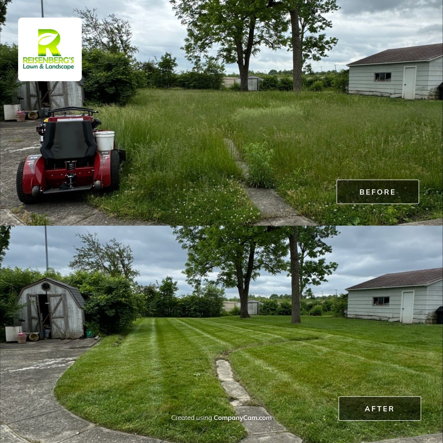 Reclaiming An Overgrown Yard by Reisenberg’s Lawn & Landscape, LLC