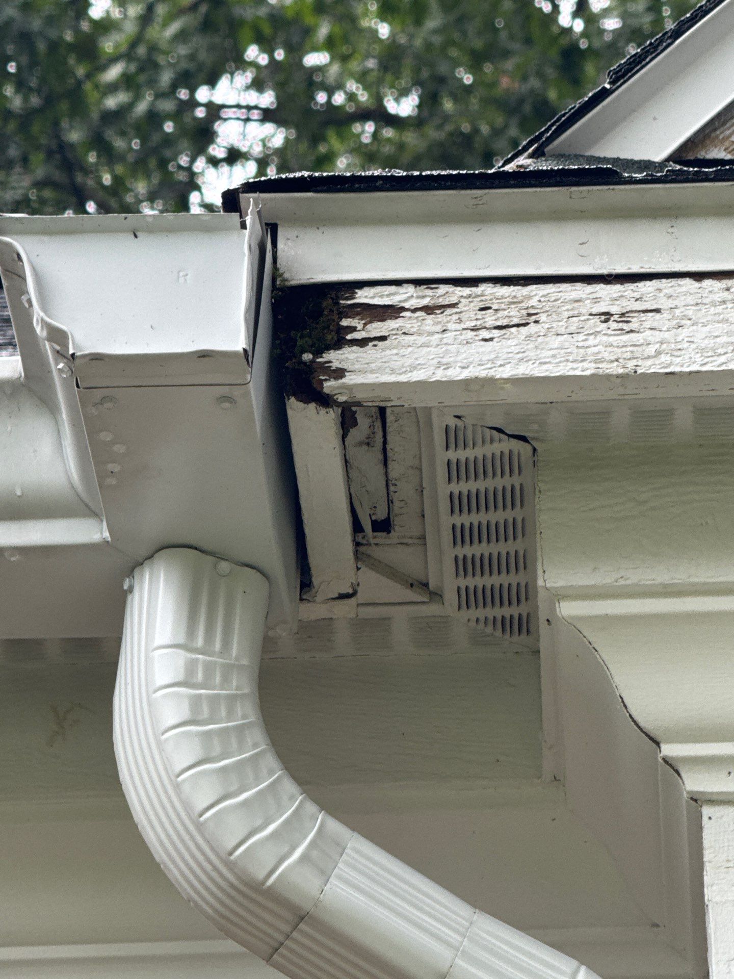 Exterior House Painting in Spring Lake, MI by Gordon Painting