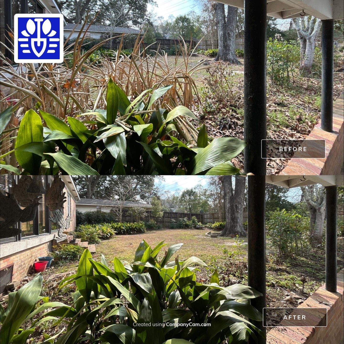 WINTER SERVICES: FULL LEAF JOB by CutScape, LLC.