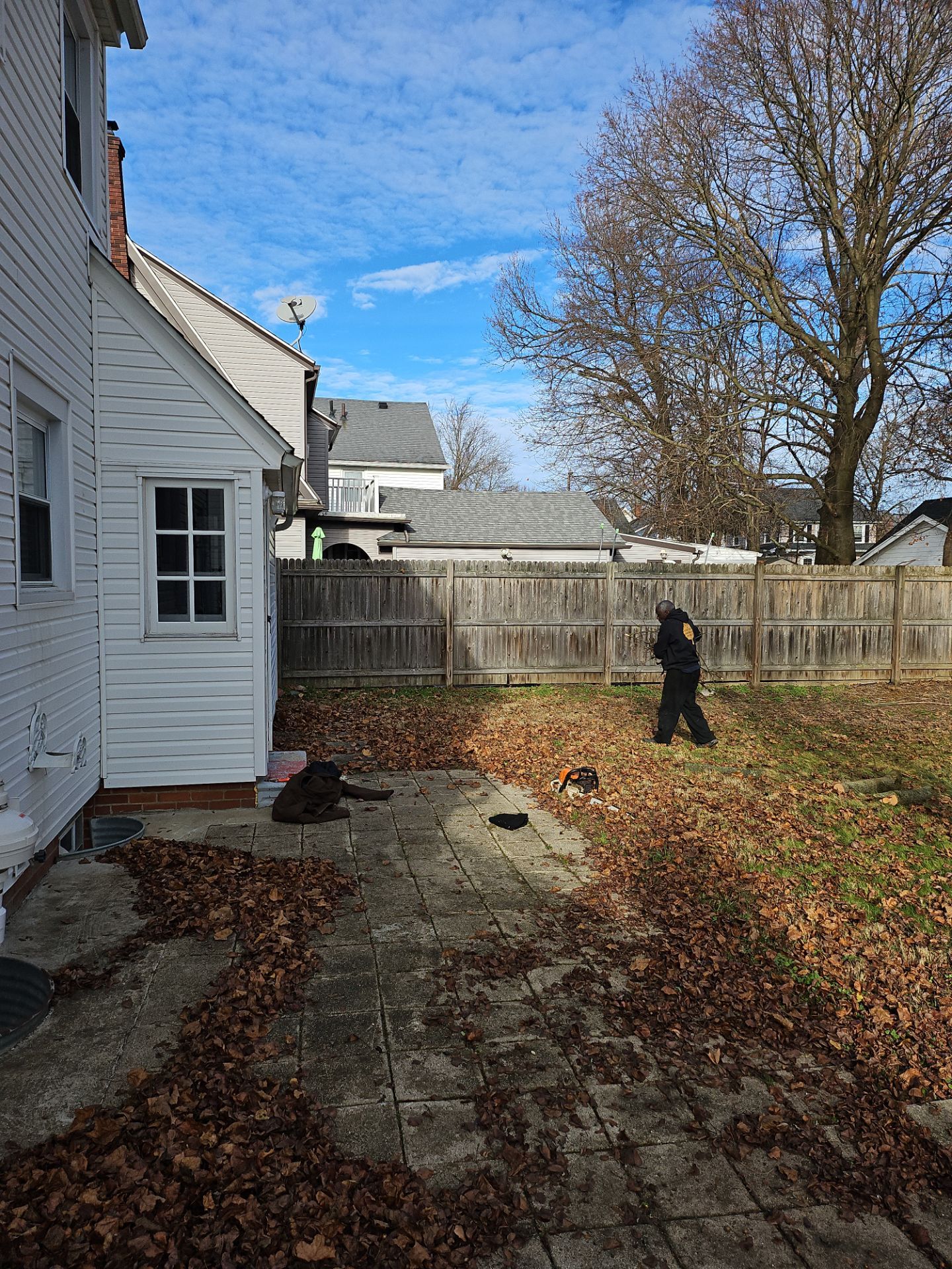 Tree Trimming using Tree Pruing by Mike Jones & Sons Tree Service LLC 