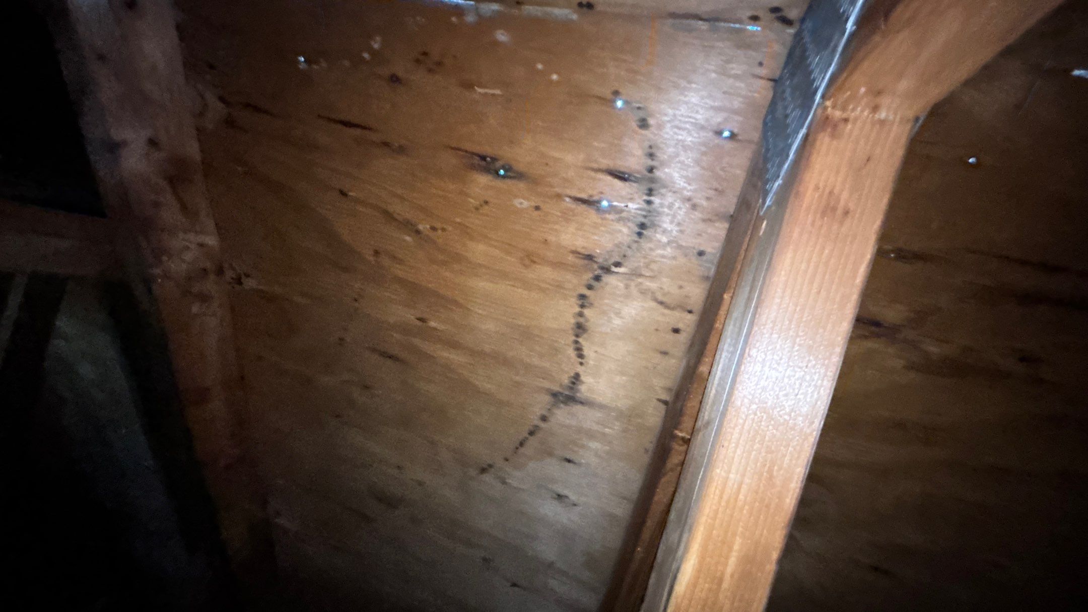 Roof Replacement using Owens Corning Summer Harvest by 180 Contractors