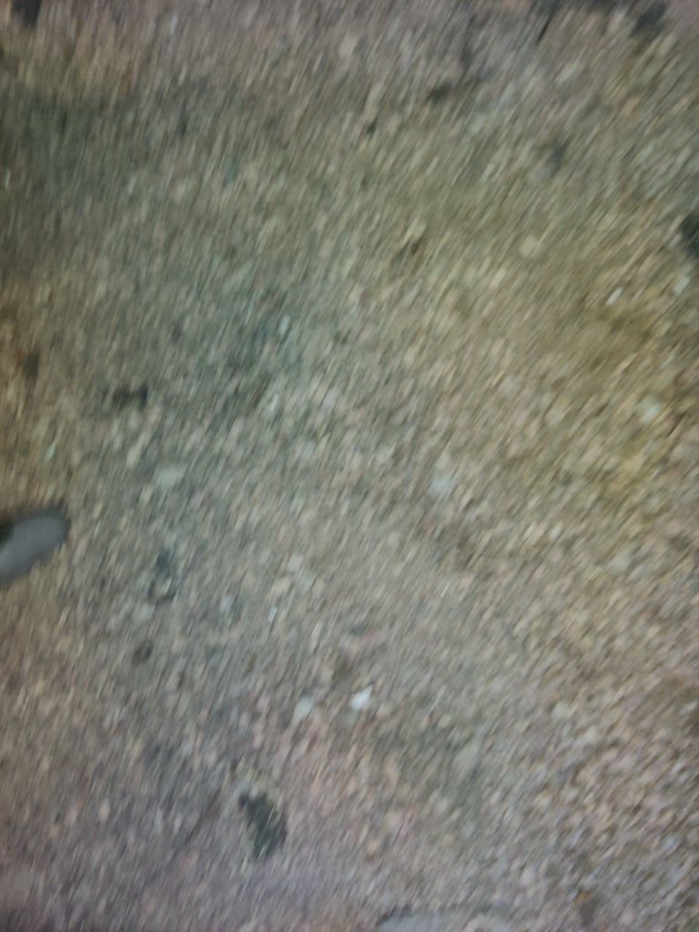 Crawl Space Cleanup  by Accountable Home Services