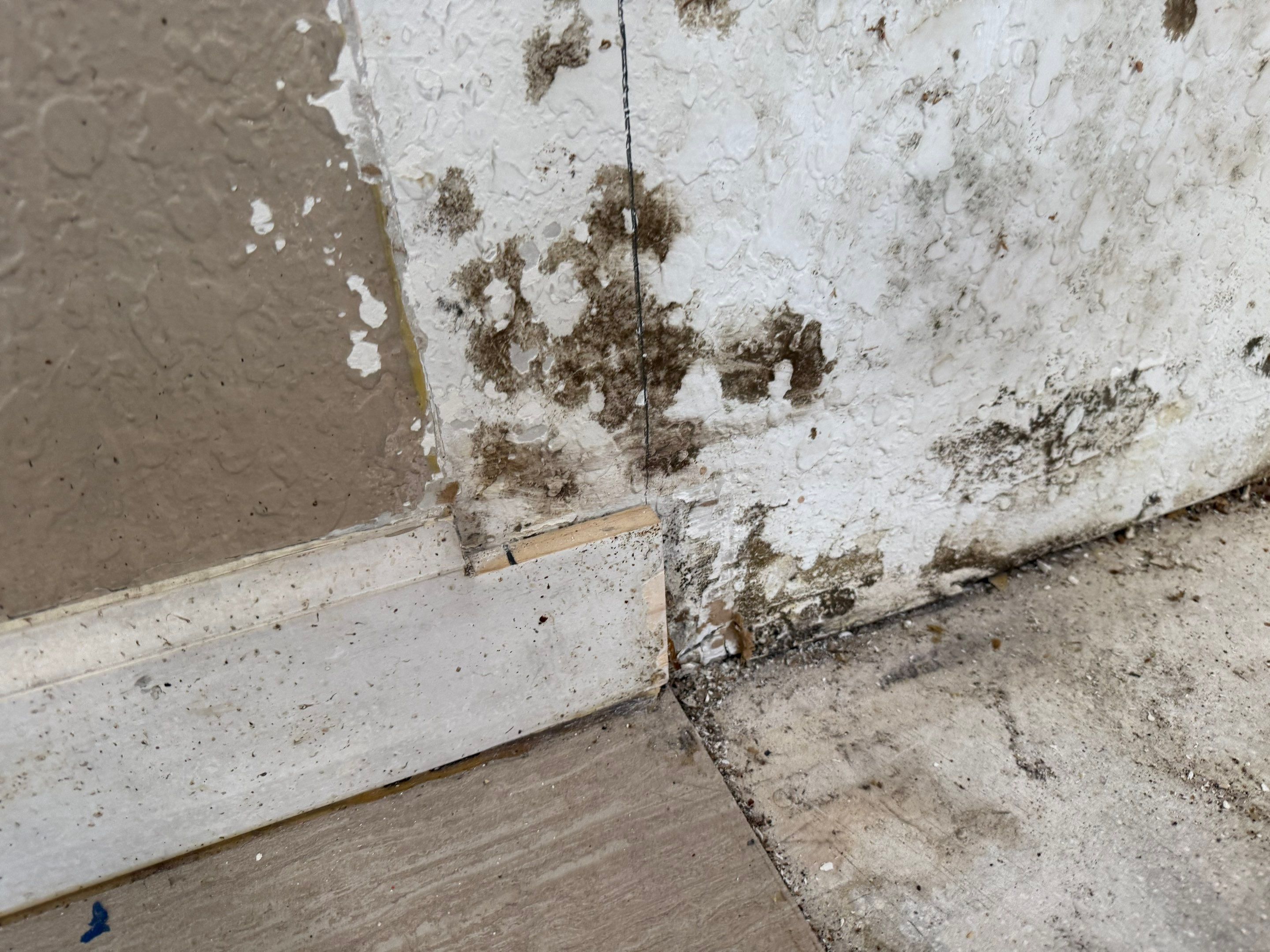 Project in Ocala by You Restorations LLC DBA YOU-Home