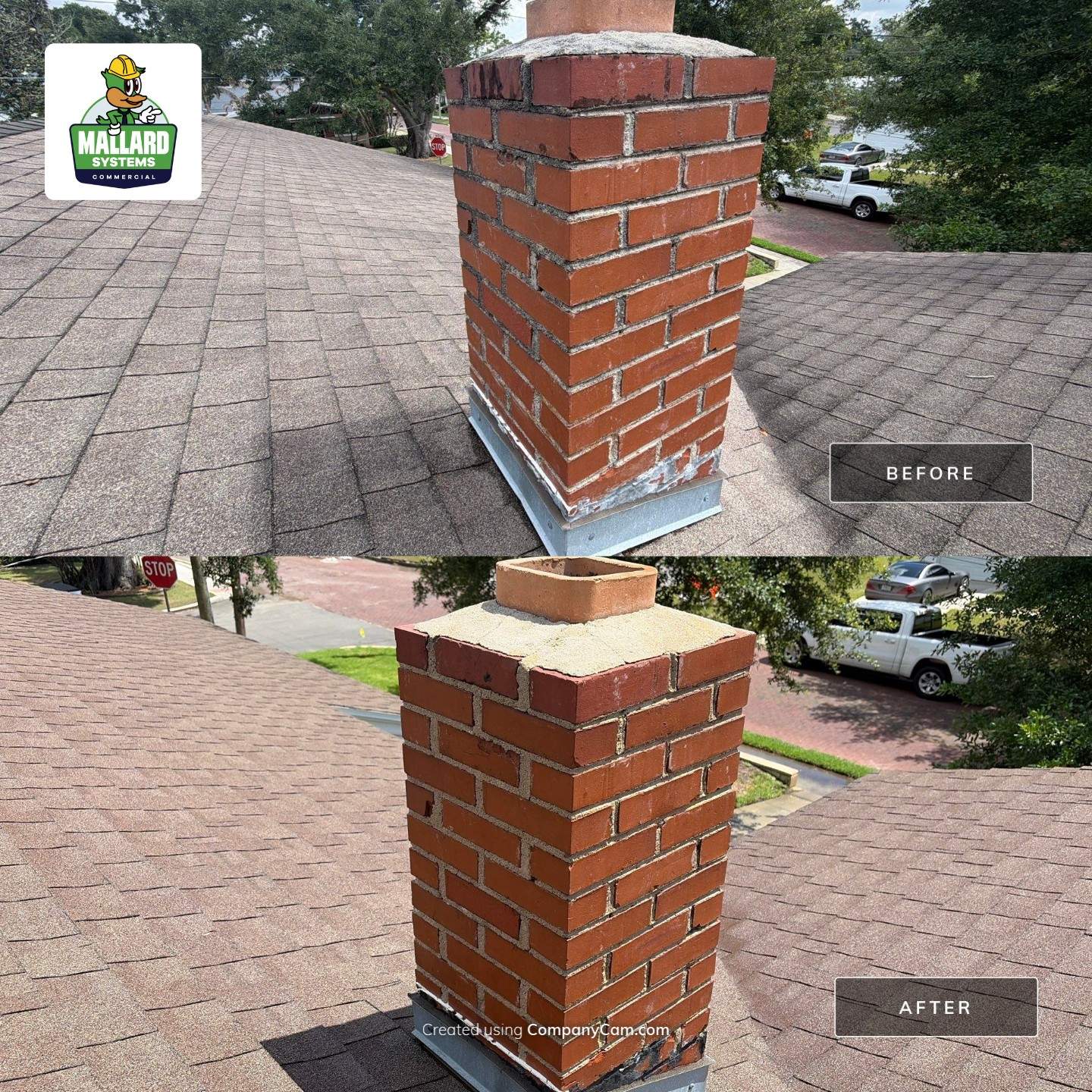Shingle Roof Cleaning by Mallard Systems