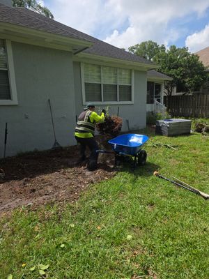 Deerwood Resident | Tree Trimming