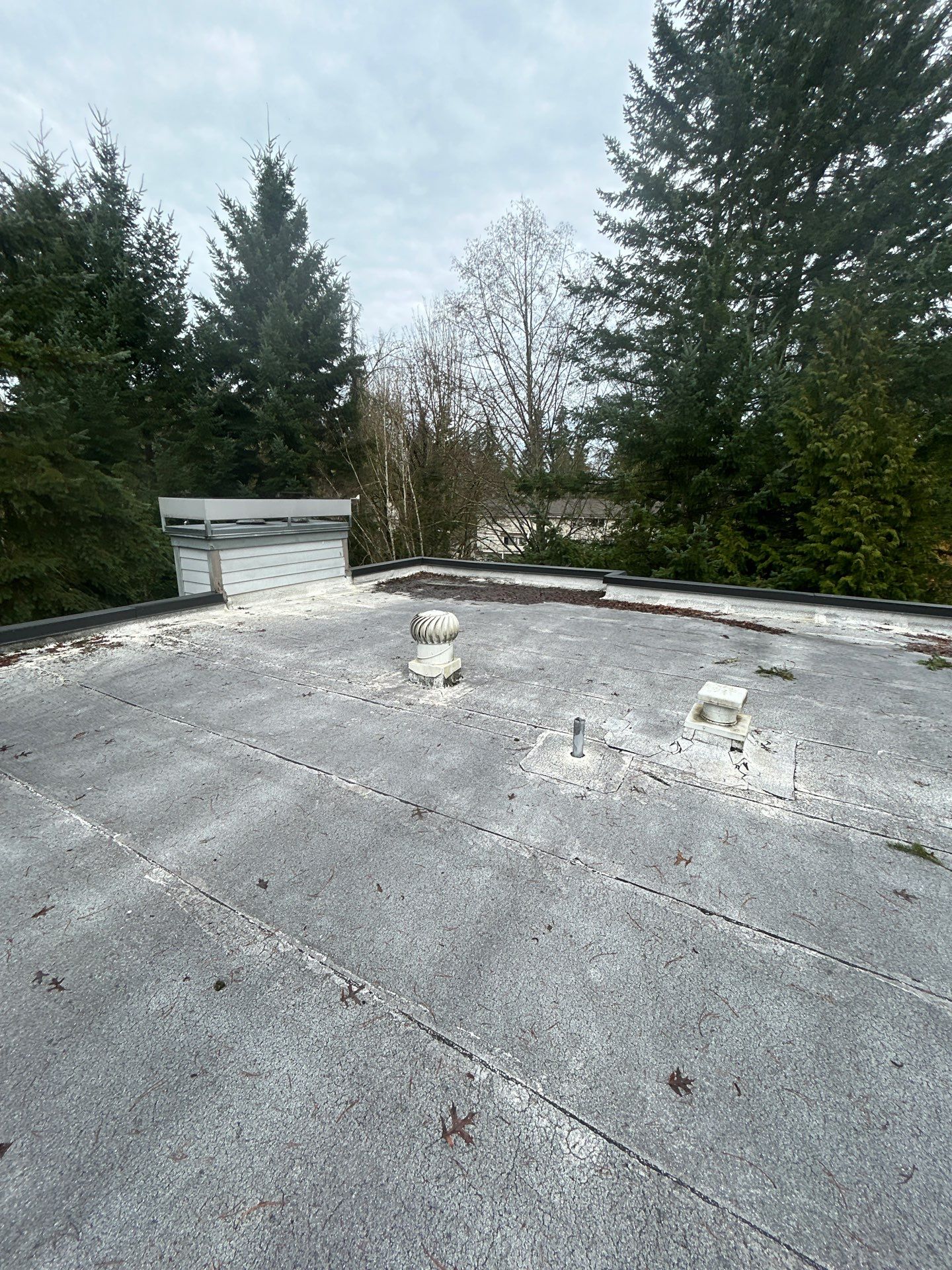 Project in Kirkland by Connolly Construction Company