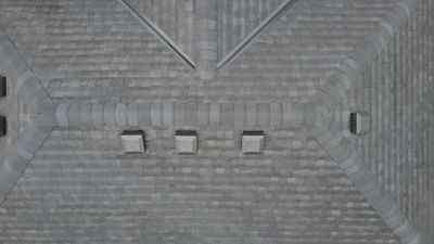 Shadow Black on Mystique