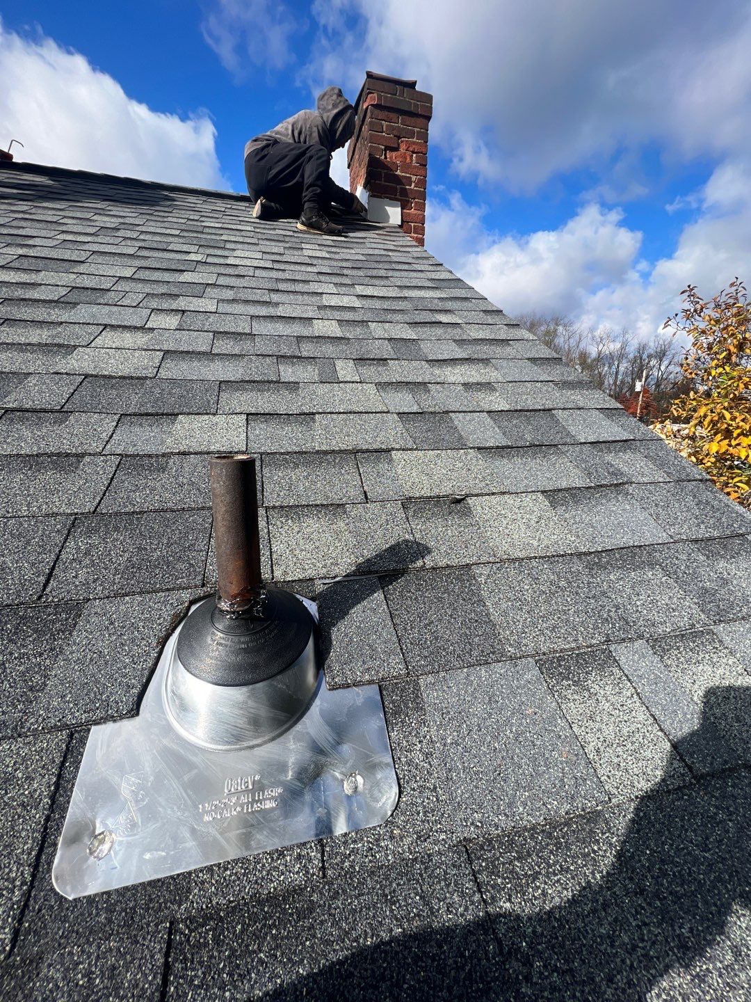 Silver Birch Shingles by Reimagine Roofing