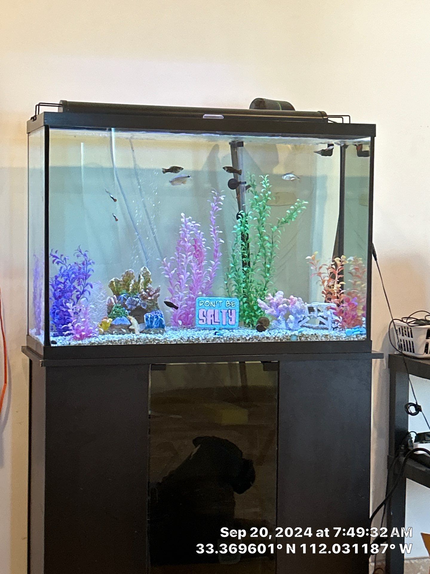 2-Day remodel, record time  by CompanyCam Sales Demo