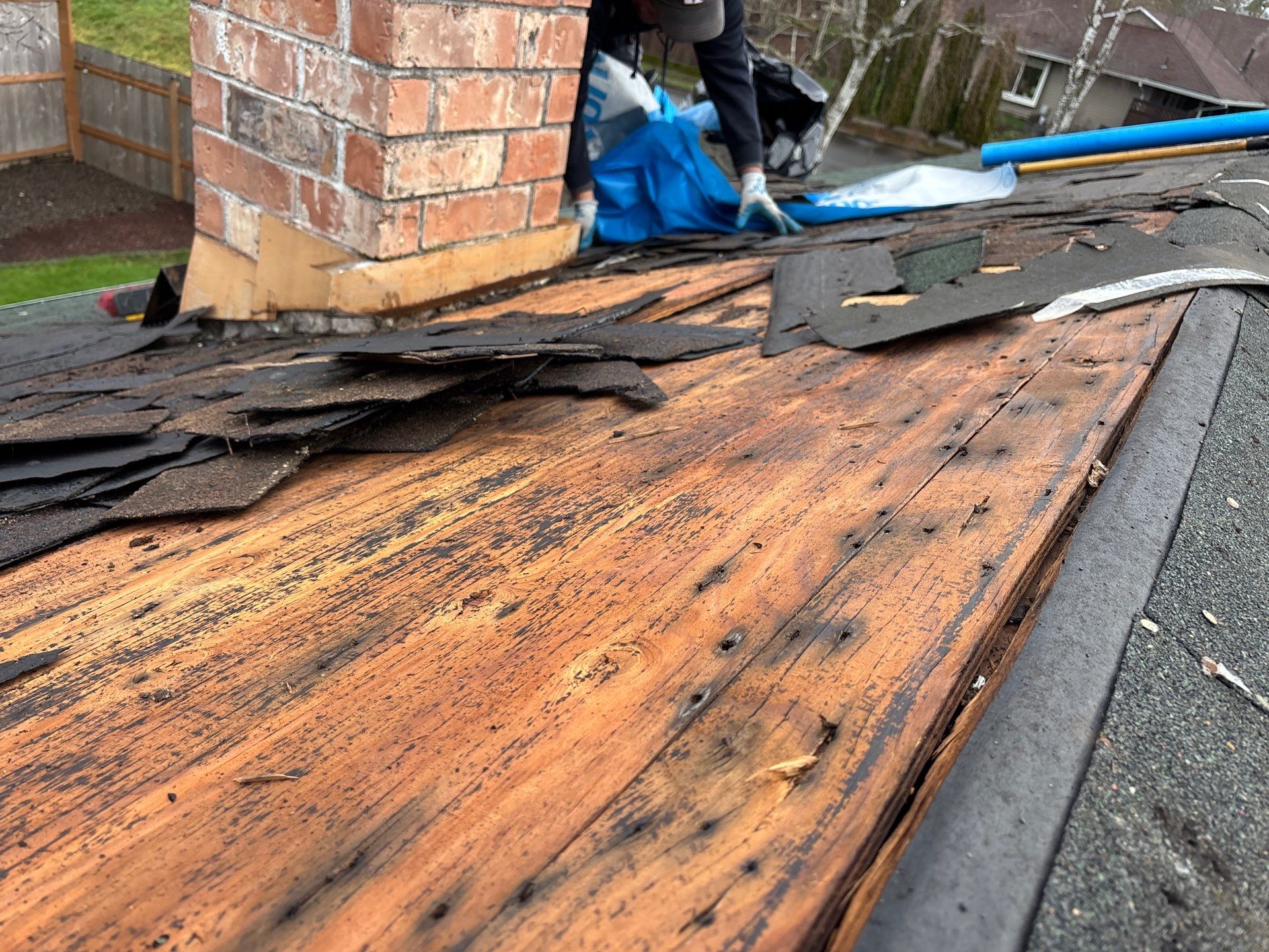 Emergency Leak Repair in Hillsboro by Prodigy Roof Solutions