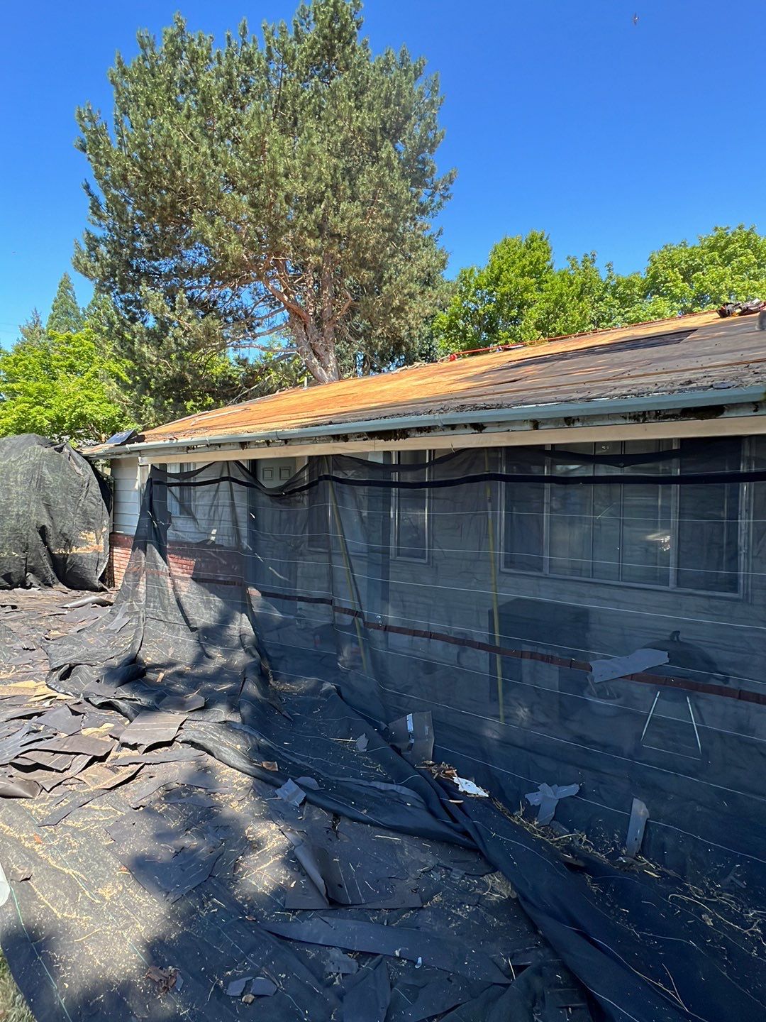Residential Roofing Installation using IKO Dynasty (Color: Brownstone) by Orezona Building & Roofing Company, Inc.