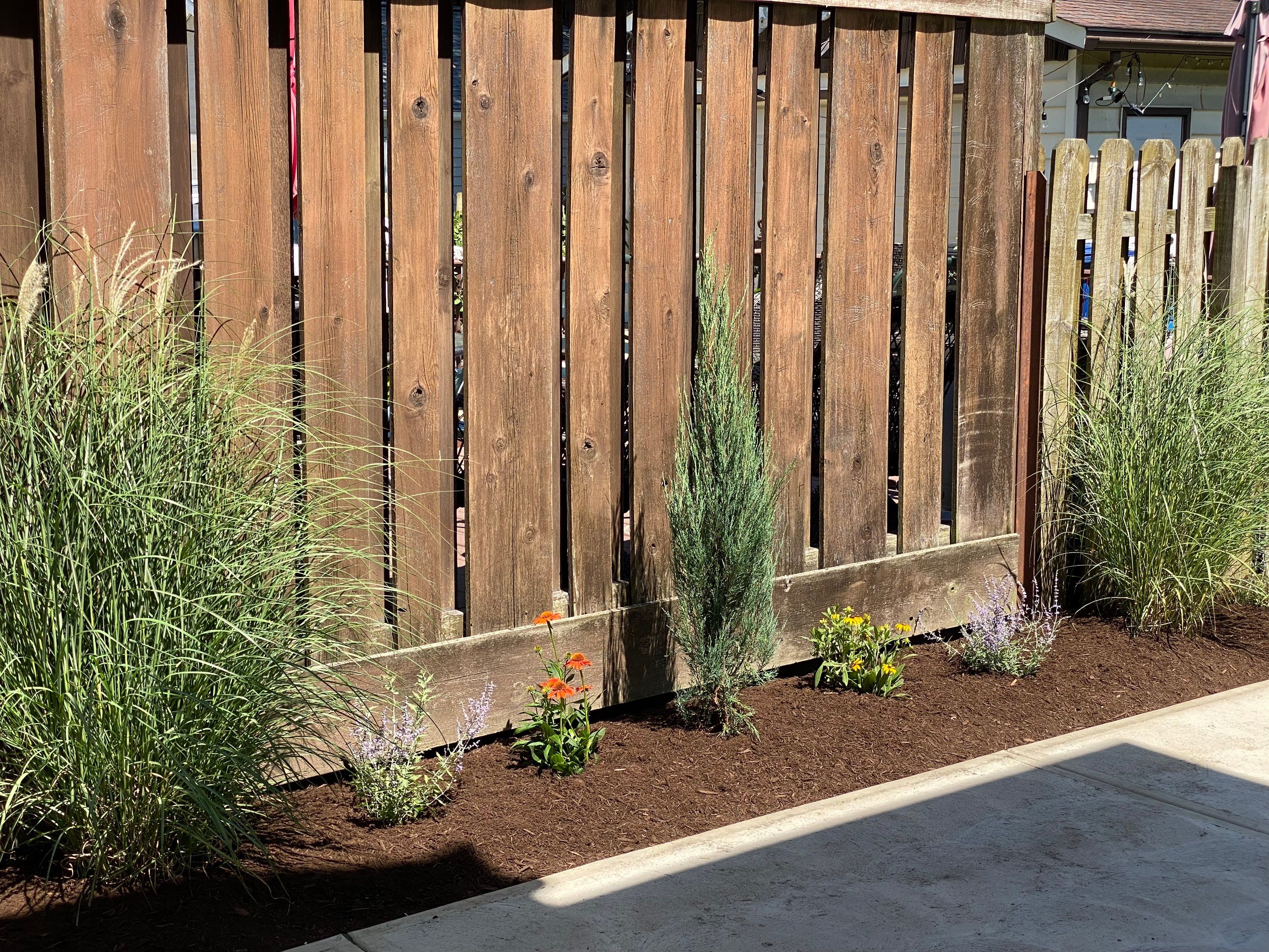 Green Fenceline Install by Elm Rose Gardens