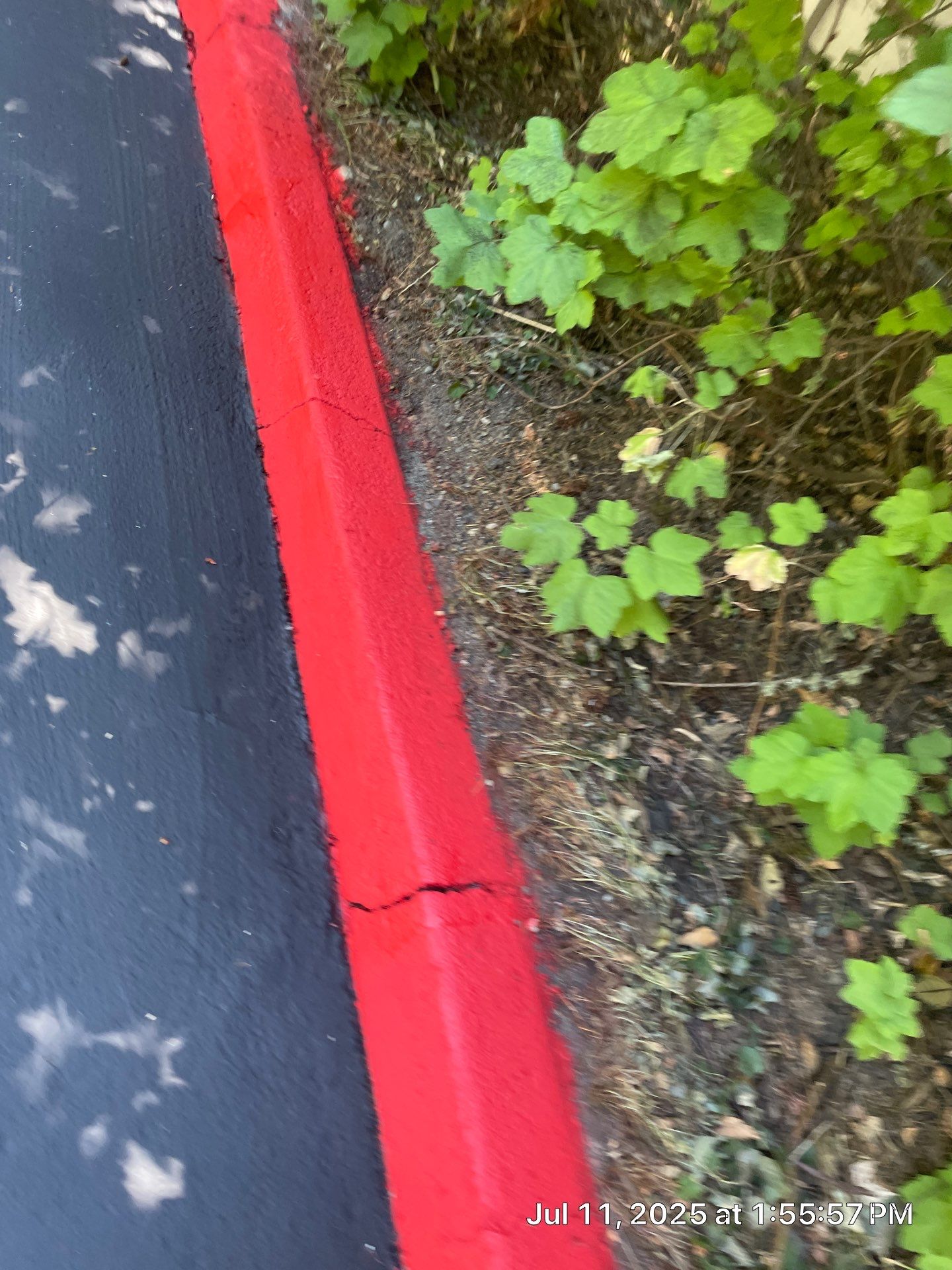 Curb Repaint | Seattle  by Jireh Asphalt & Concrete Inc 