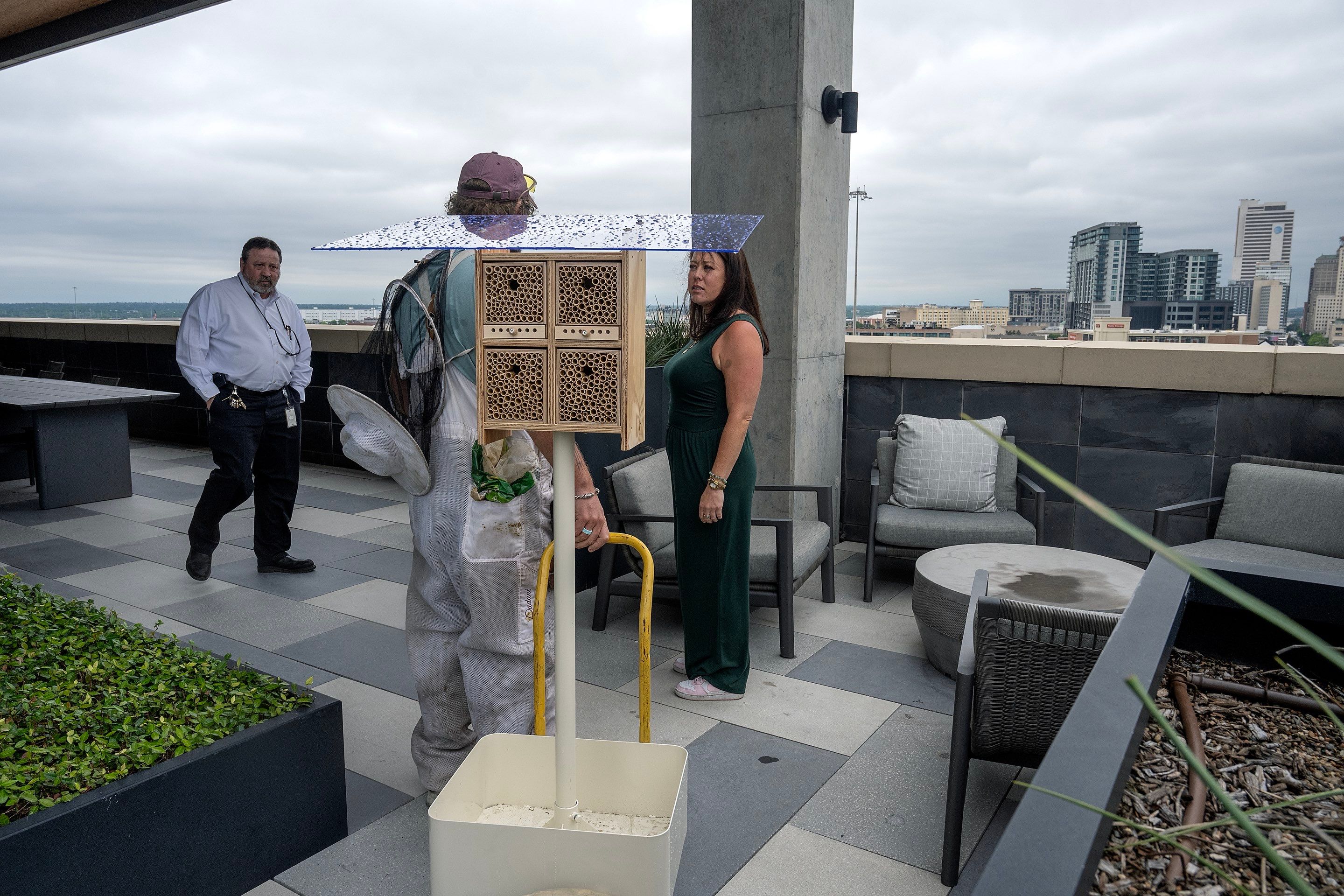 Urban Beekeeping in Dallas by Rockwall Honey Bee Company