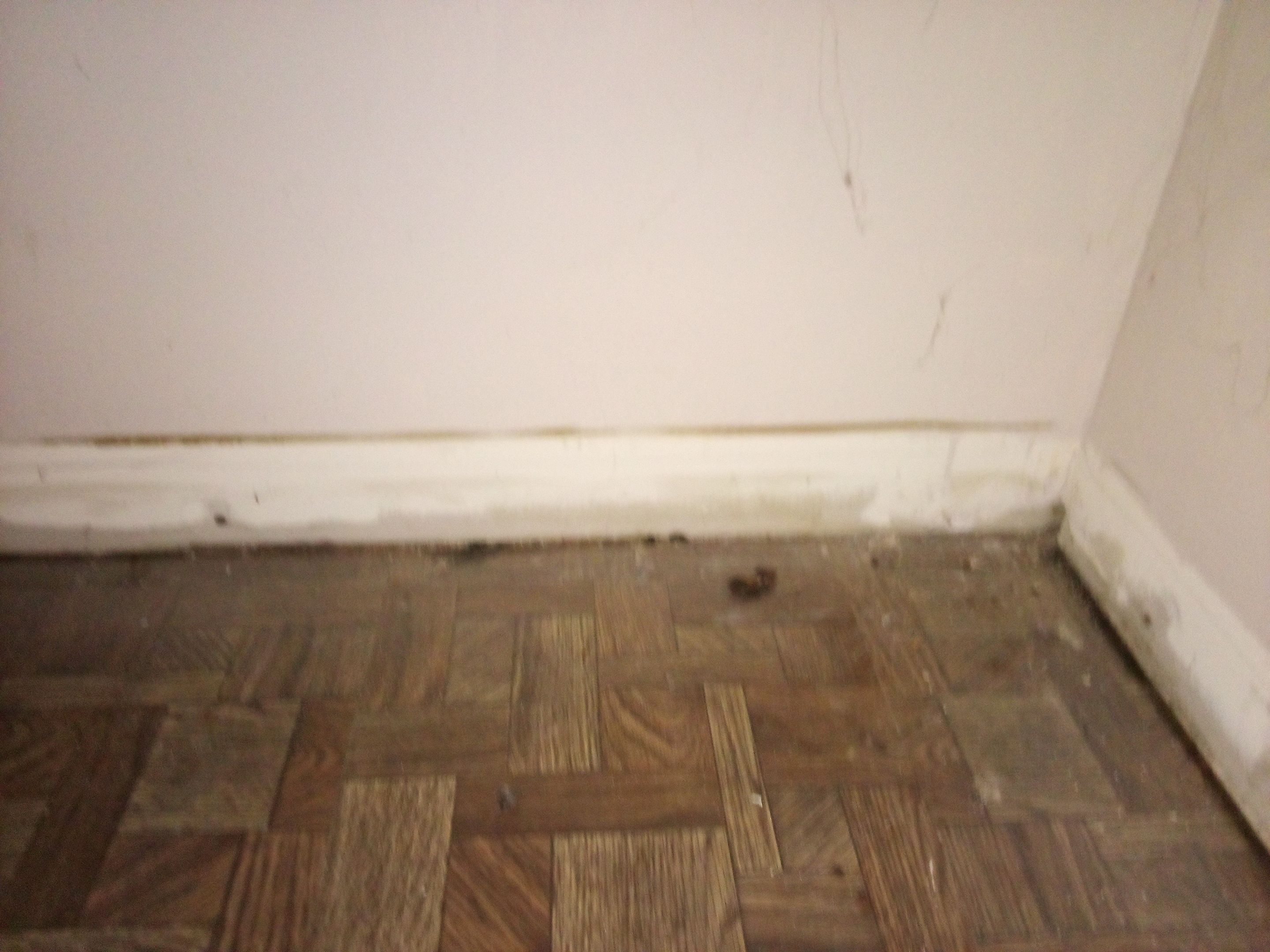 Sewage Backup in Prospect, KY by ANR Restoration