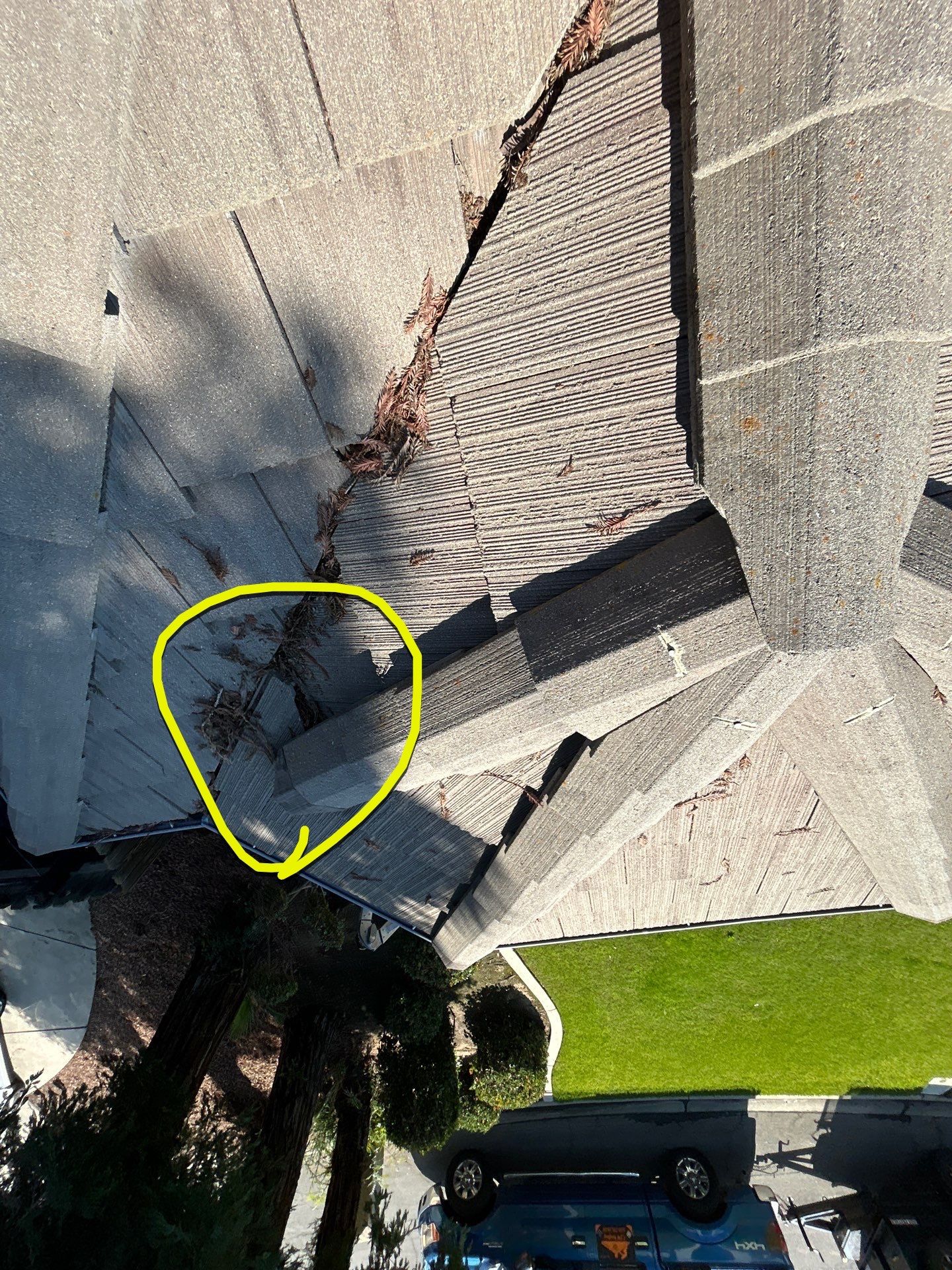 Doug McCauley by CJM Roofing