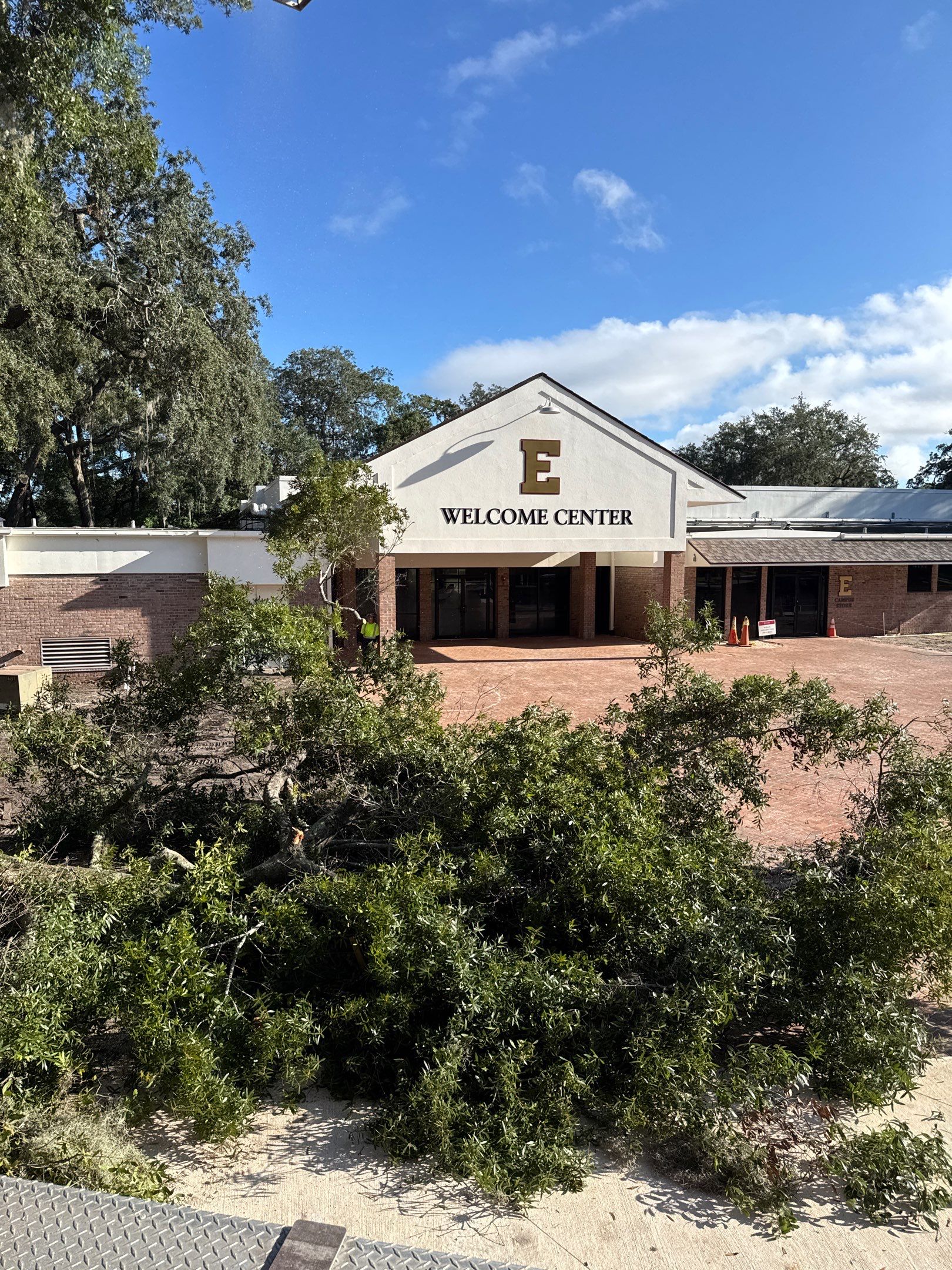 Welcome Center Tree Removal | Episcopal School of Jacksonville by ProGreen Services