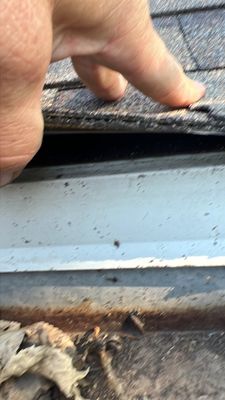 Project in Highlands Ranch