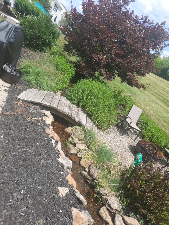 Tree Removal using Tree Removal by Mike Jones & Sons Tree Service LLC 