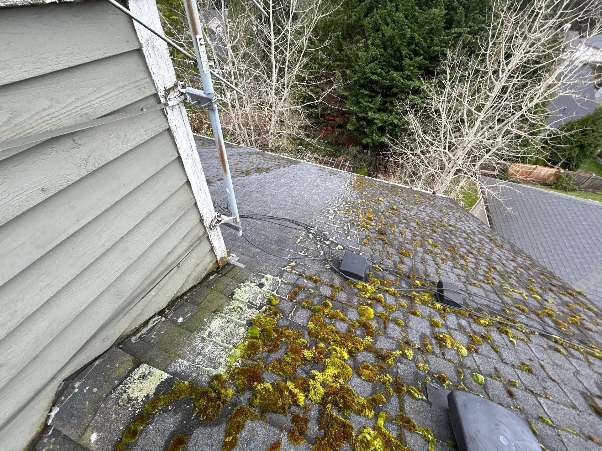 Project in Bellevue by Peaks and Valleys Construction
