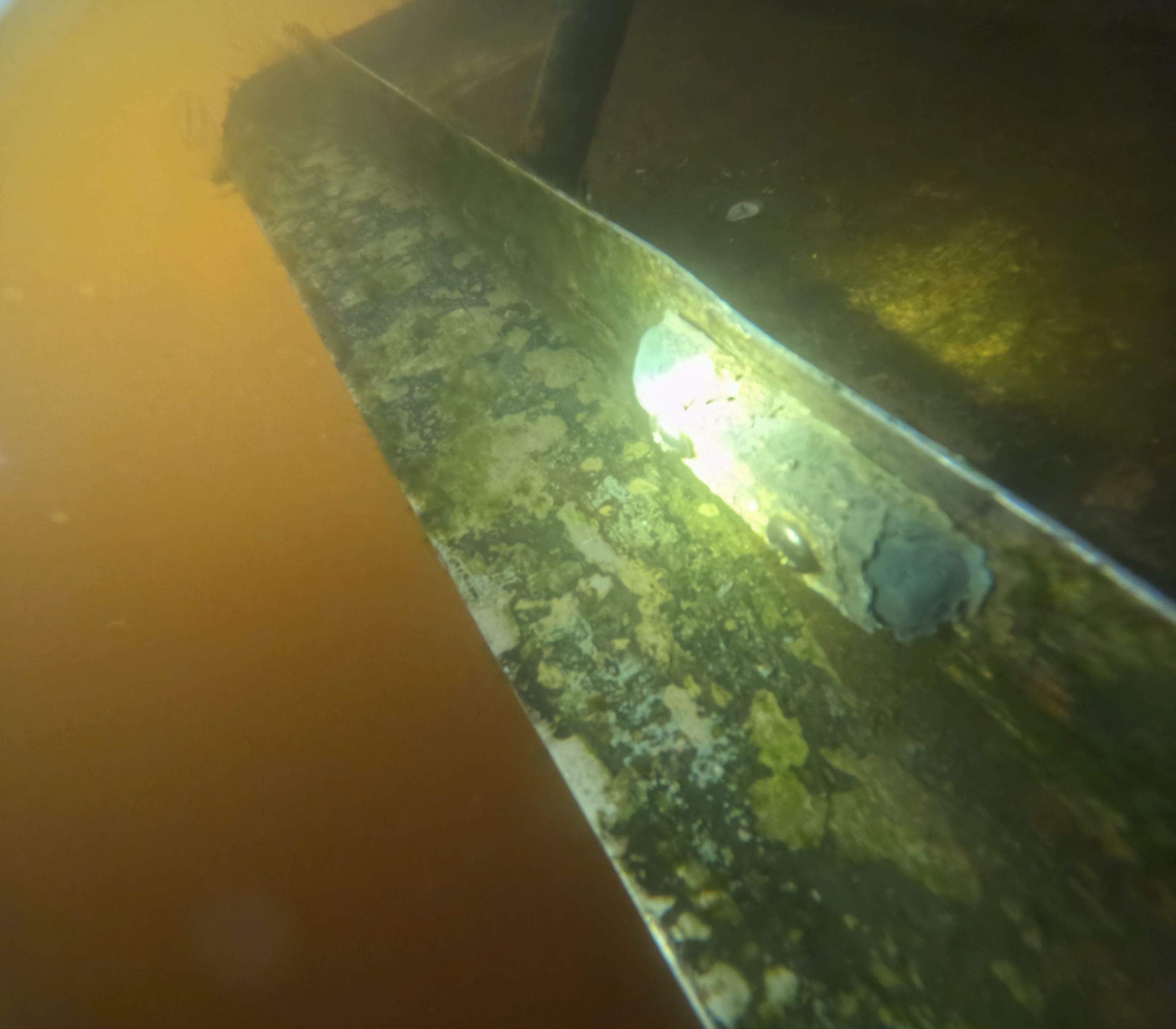 Project in North Fort Myers, FL by Florida Hull Cleaning 