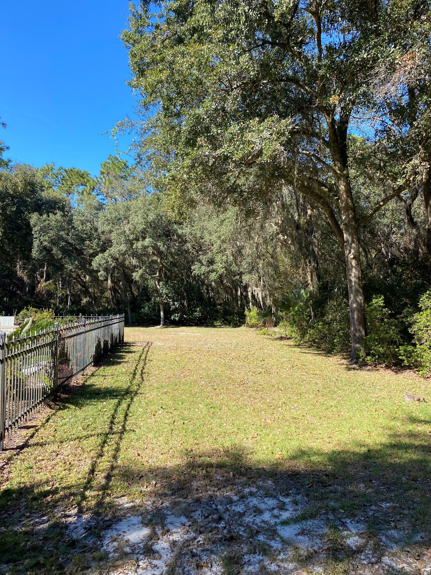 Deerwood Residence | Tree Work by ProGreen Services