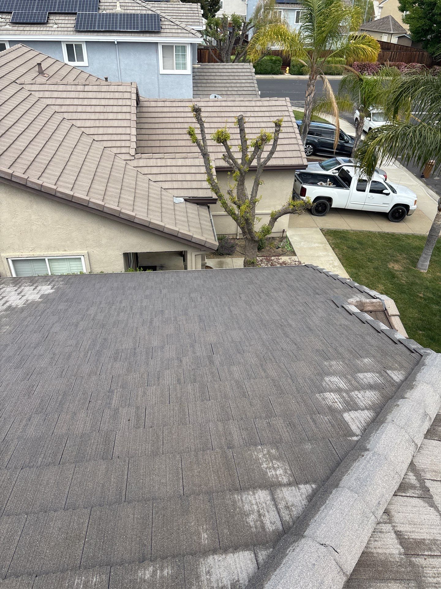 Moss Removal by Top Elevation