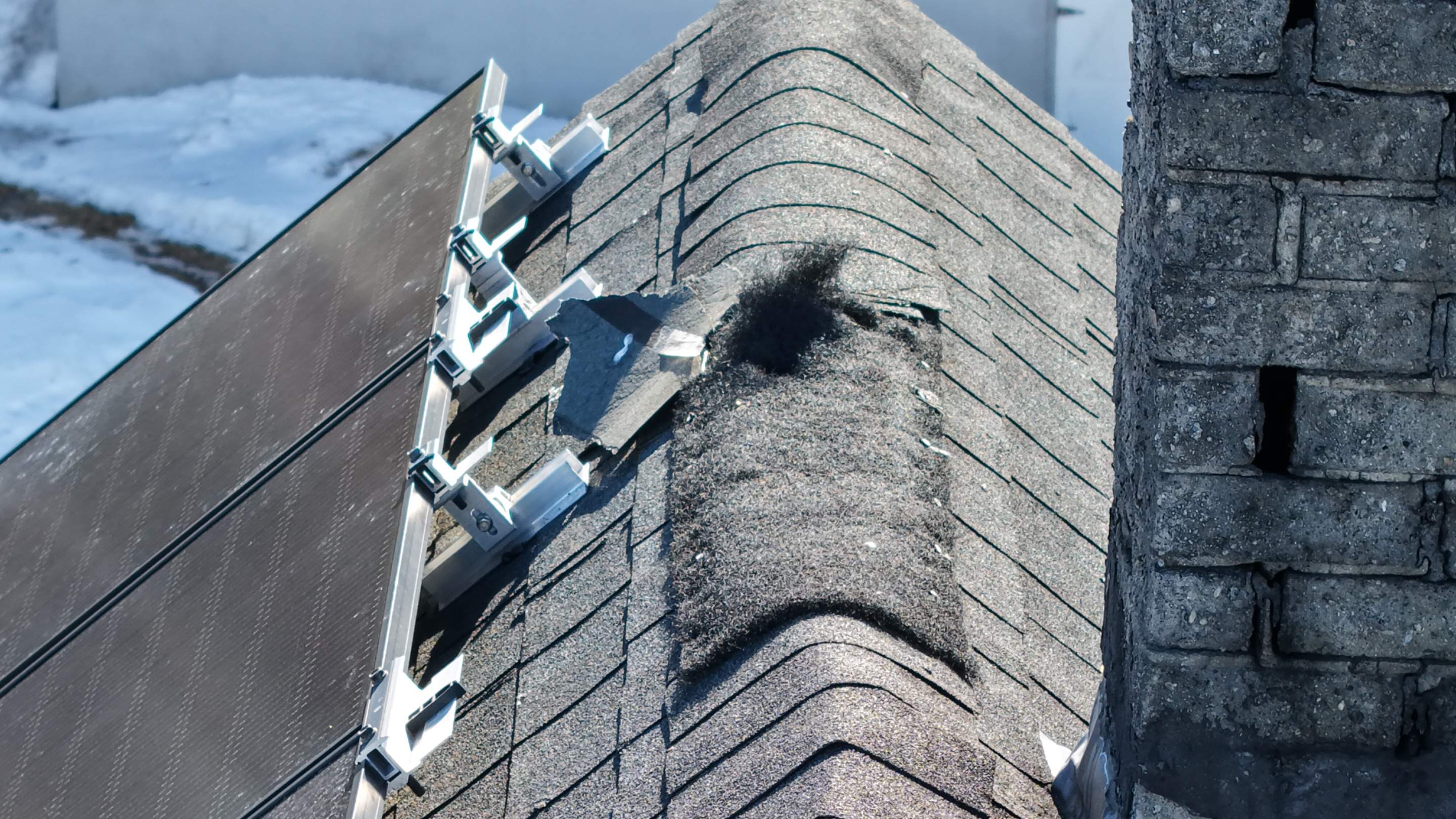 Critter Damage Repair: Ridge Vent Upgrade & Mansard Shingle Restoration by JOHNNYS PRO